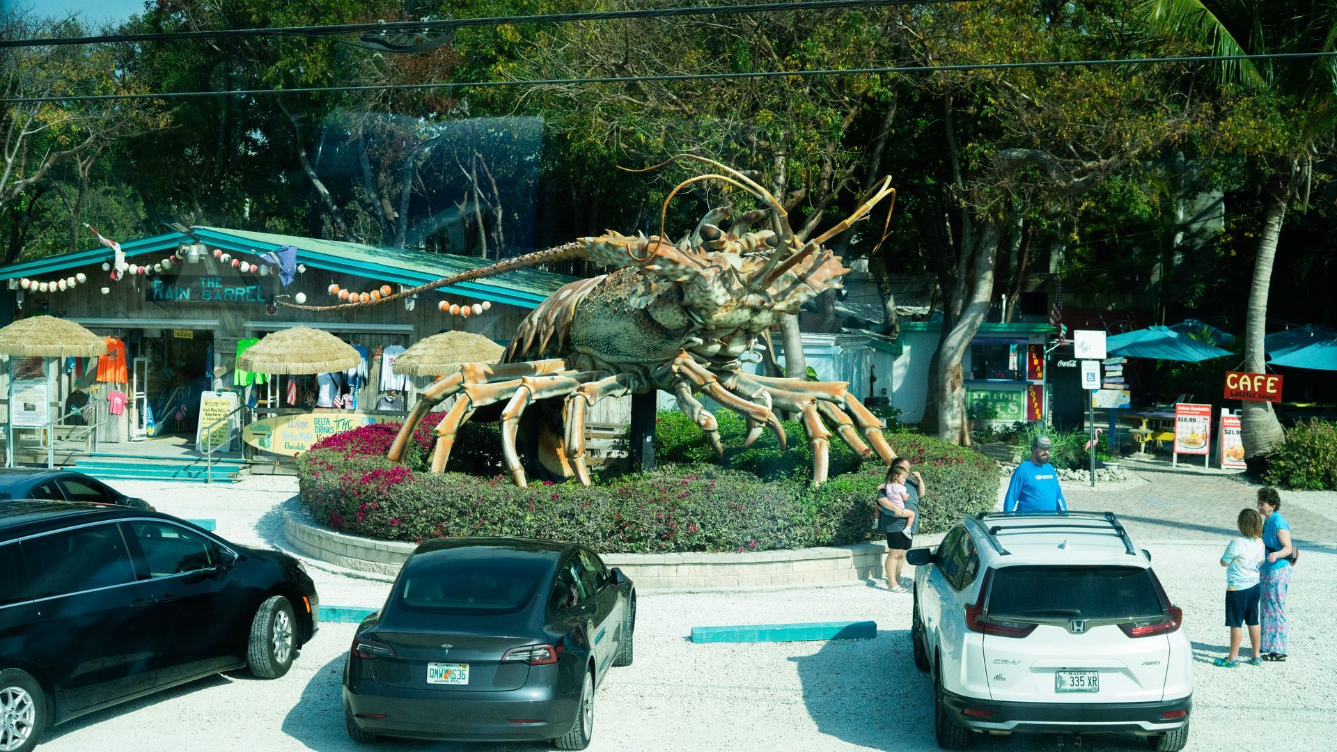 Miami to Islamorada the famous Lobster seen on the Miami to Key West Bus Tour