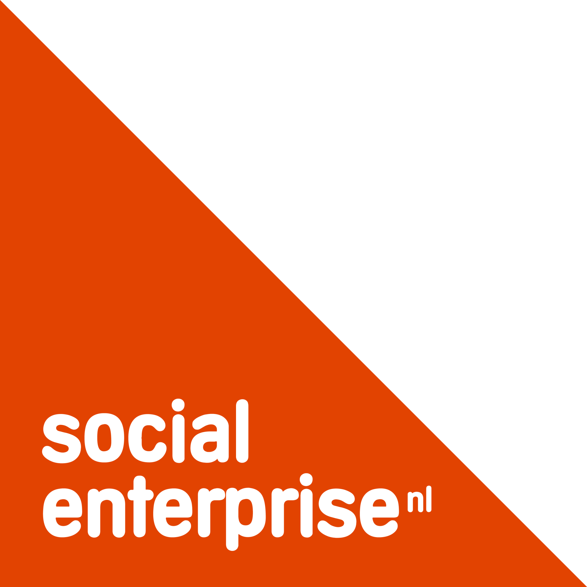 Oranje en wit logo van Social Enterprise NL in een diagonaal driehoekig ontwerp.