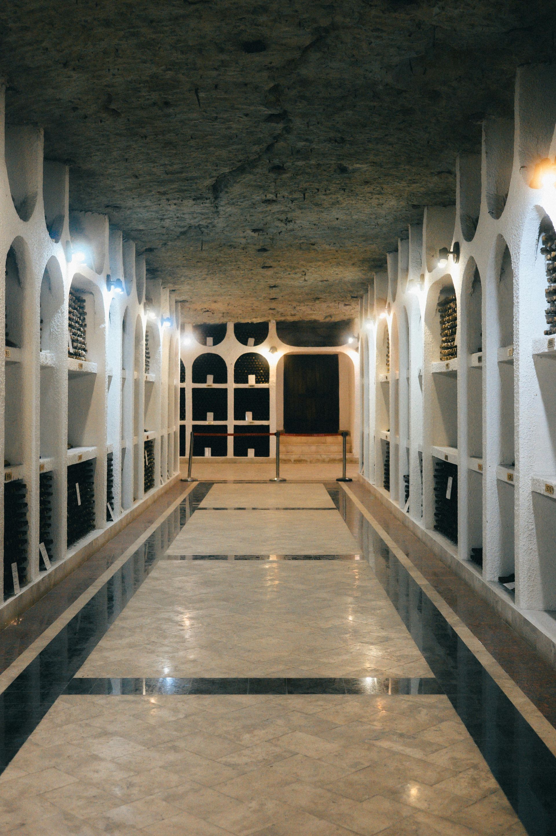 wine cellar construction