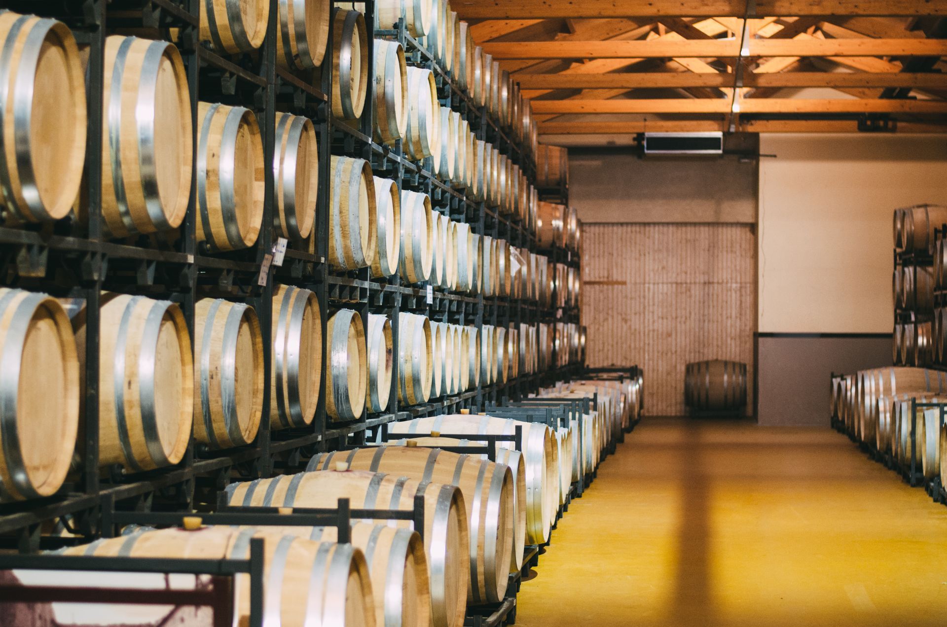 wine cellar design