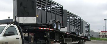 Horse Trailer