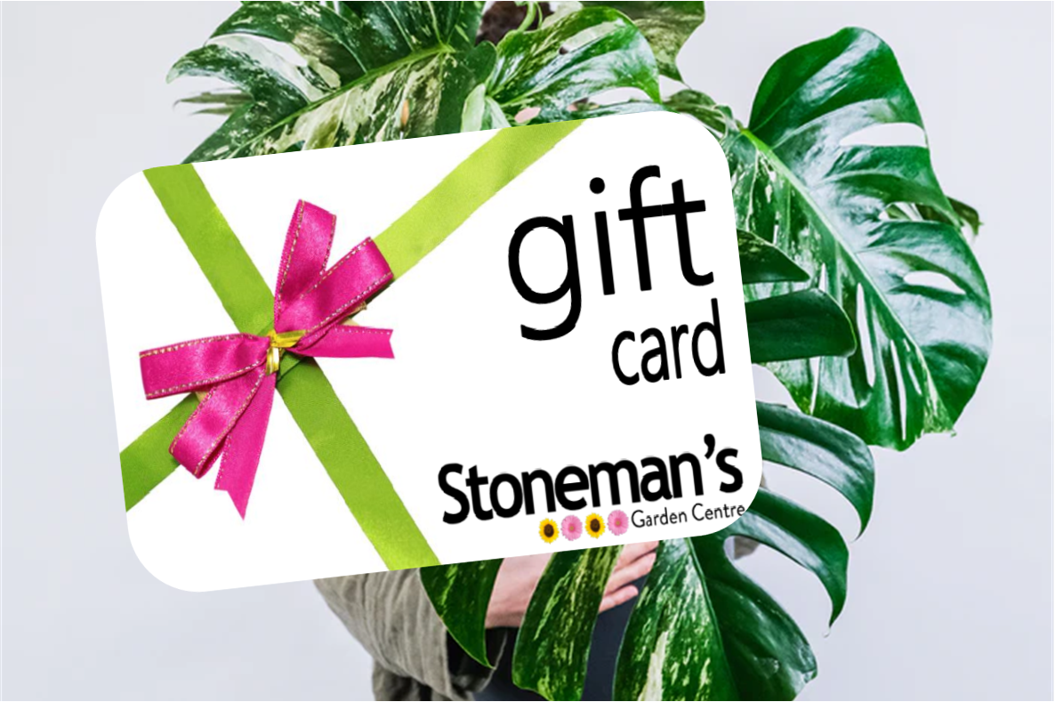 Gift Cards Glenorchy TAS