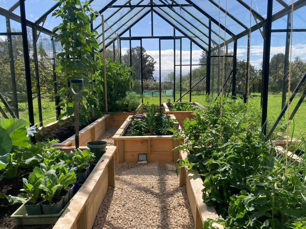winter gardenz greenhouse
