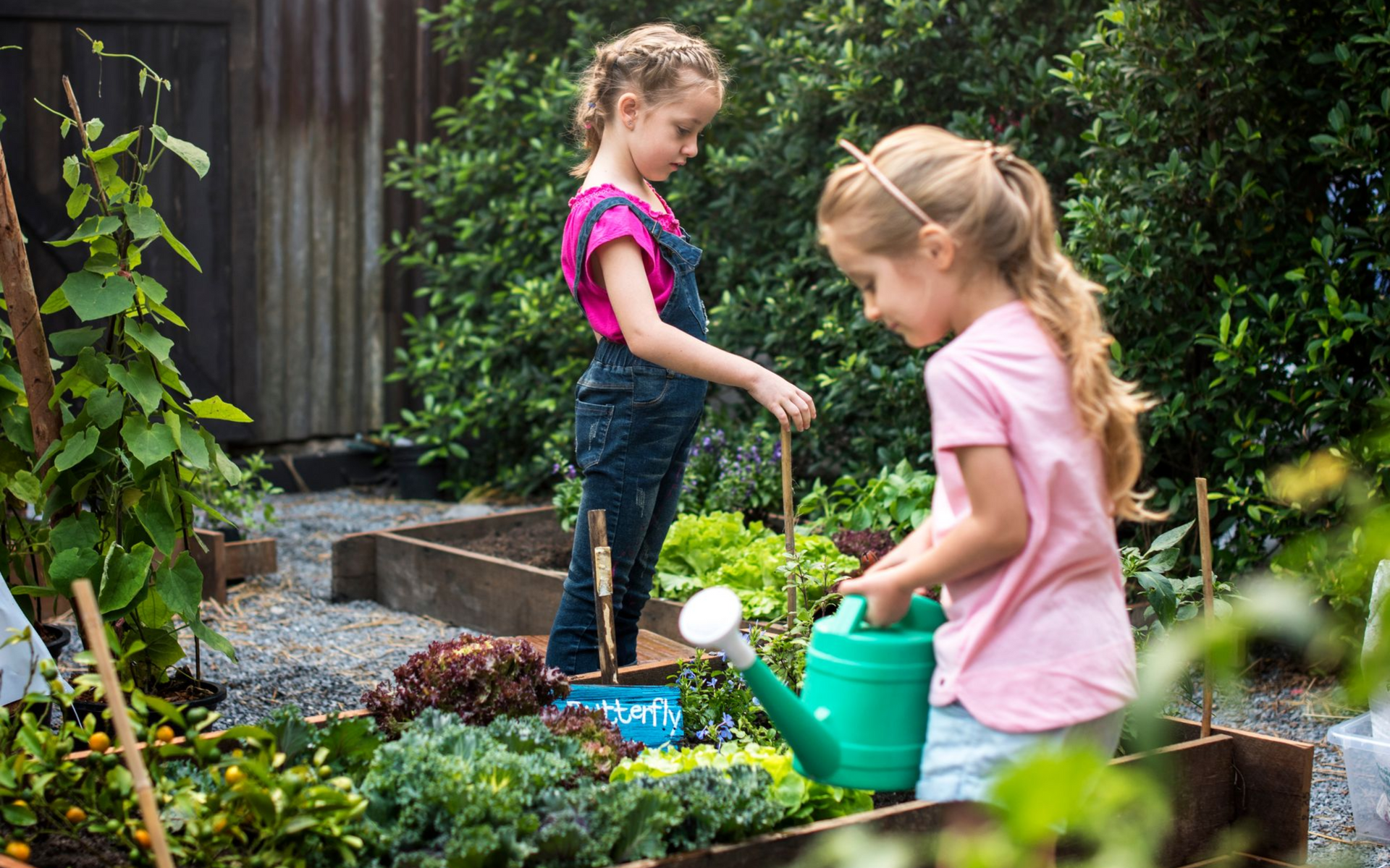 children in a vegetable garden