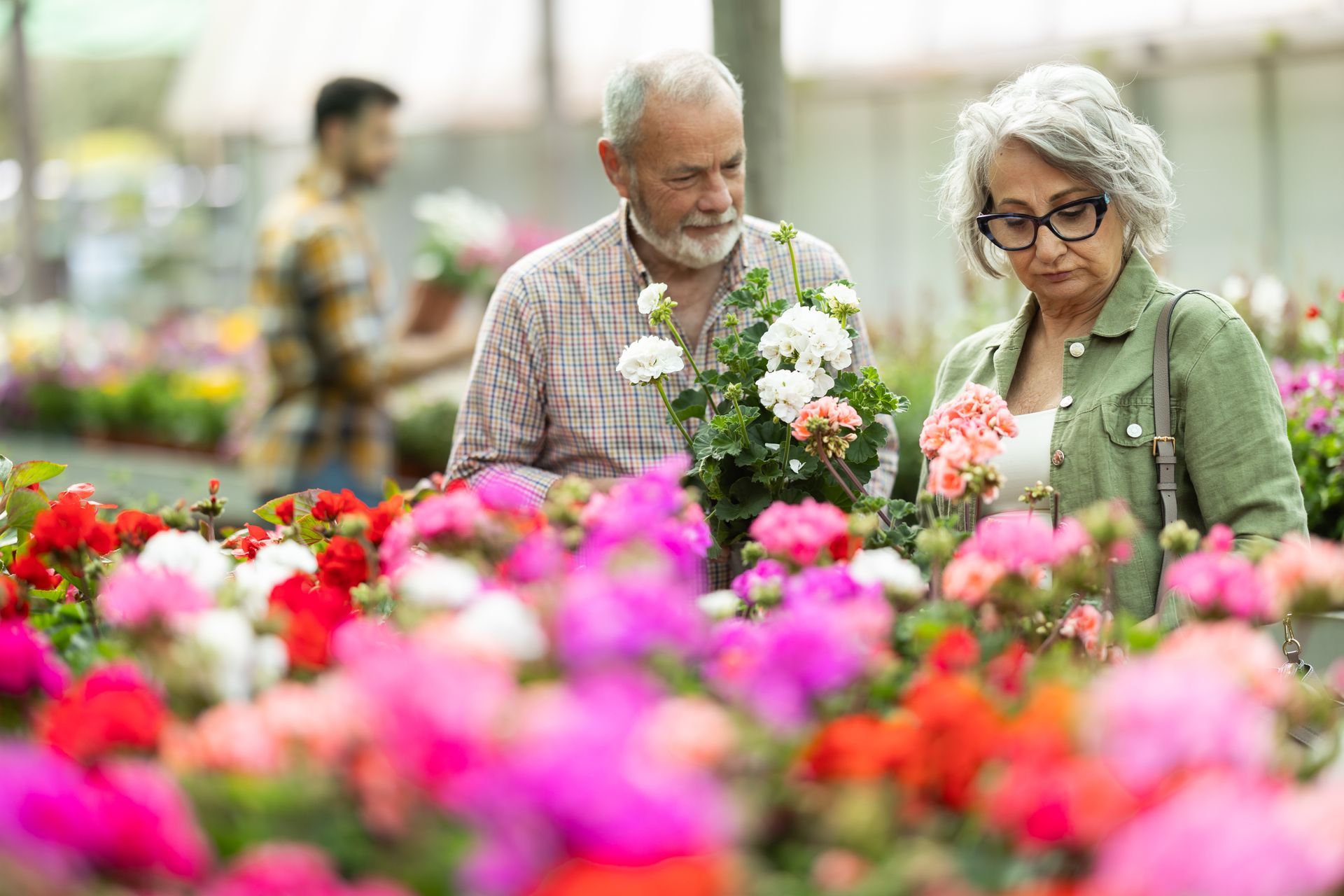Senior couple admiring colourful flowers in a vibrant plant nursery