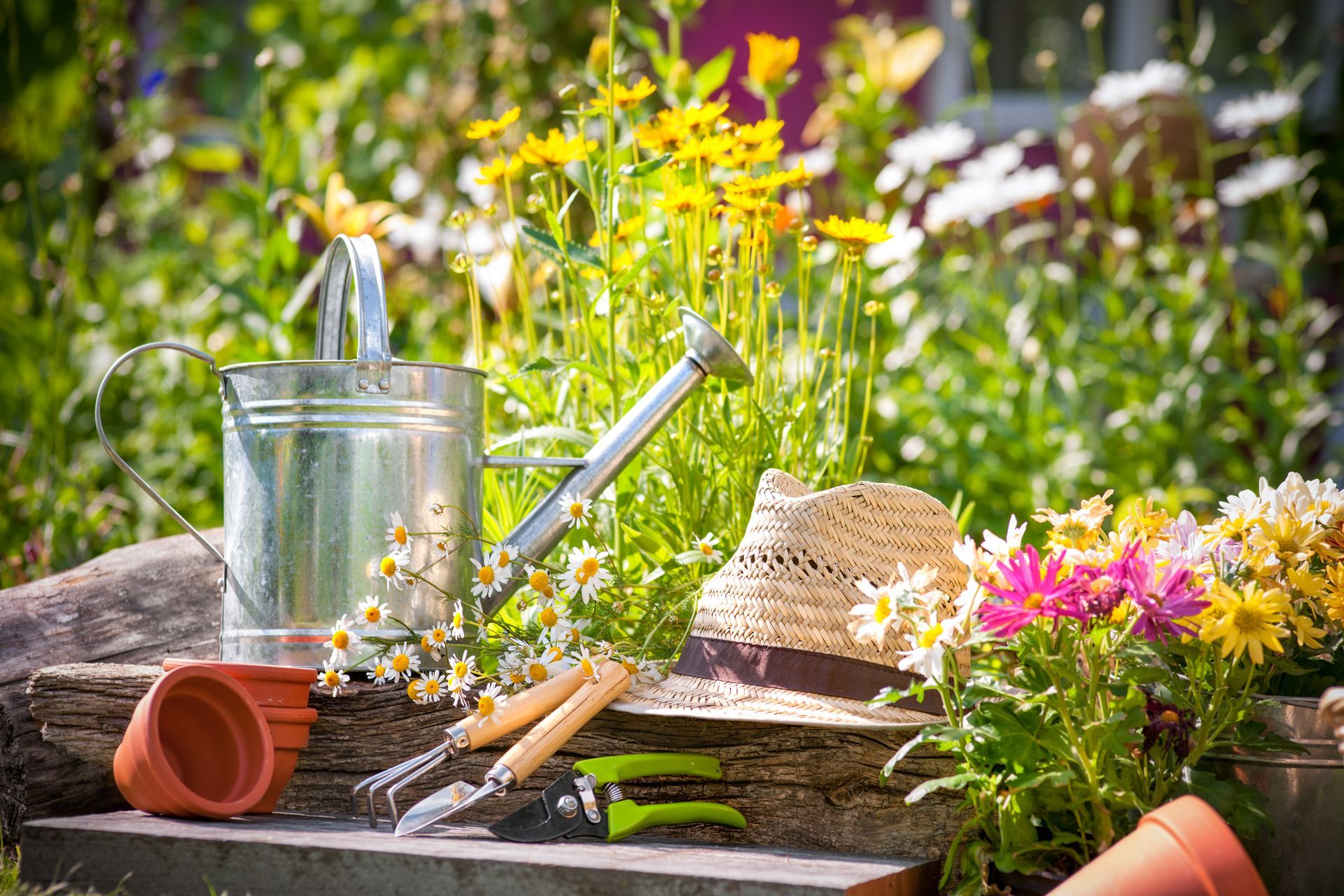 Garden scene with watering can, hat, tools, and flowers.