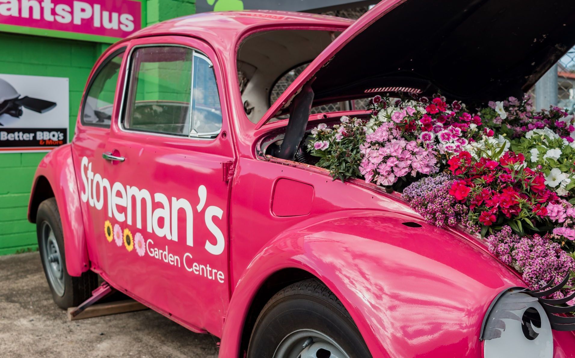 Pink VW Beetle planter Pink VW Beetle planter