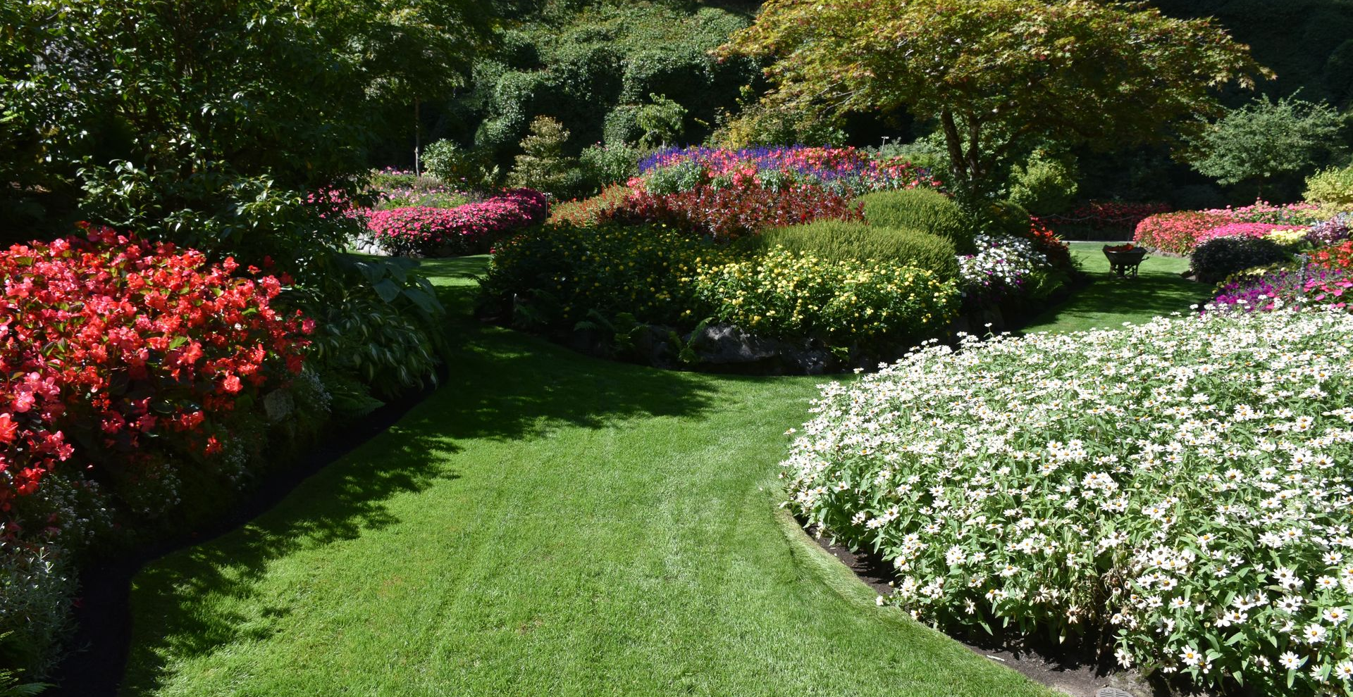garden and lawn