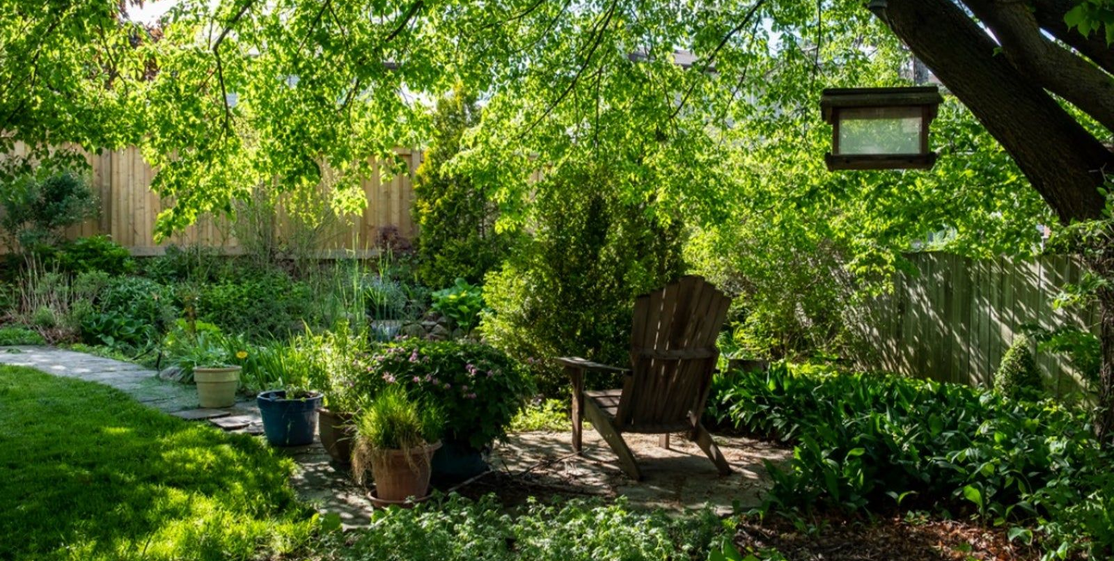 shade garden