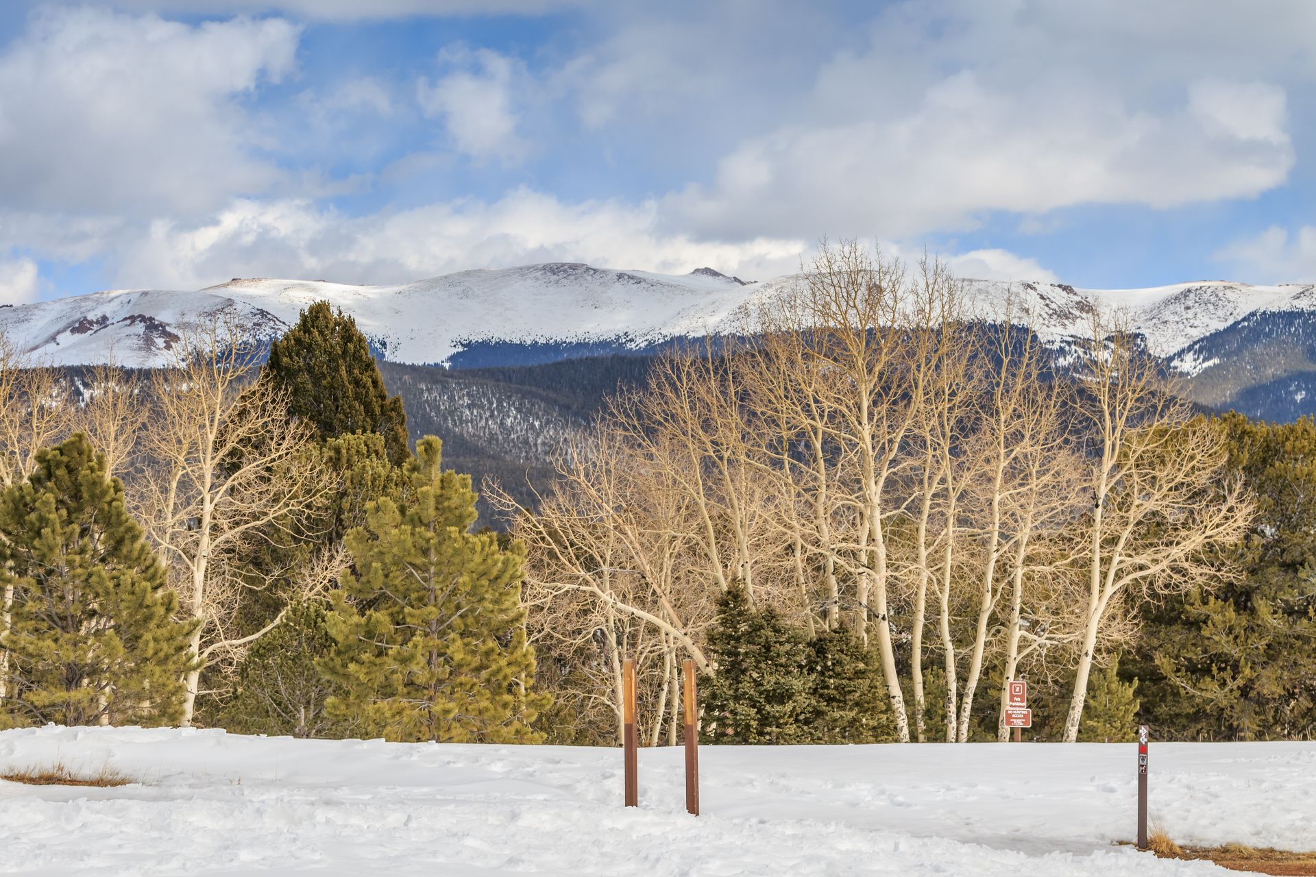 A snowy field with trees and mountains in the background