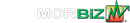 MORBiz logo with a green and red stock chart.