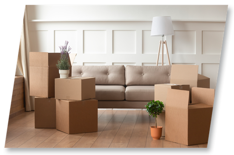 Cardboard boxes stacked in a living room, with a couch, potted plants, and lamp visible.