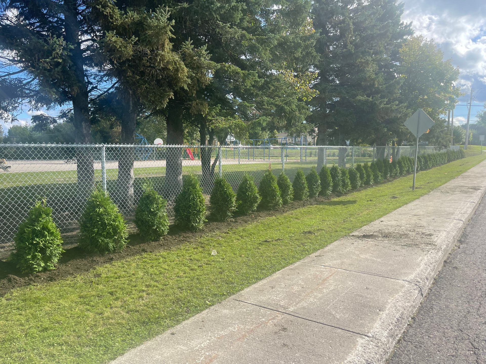 Il y a une clôture grillagée le long du côté de la route.