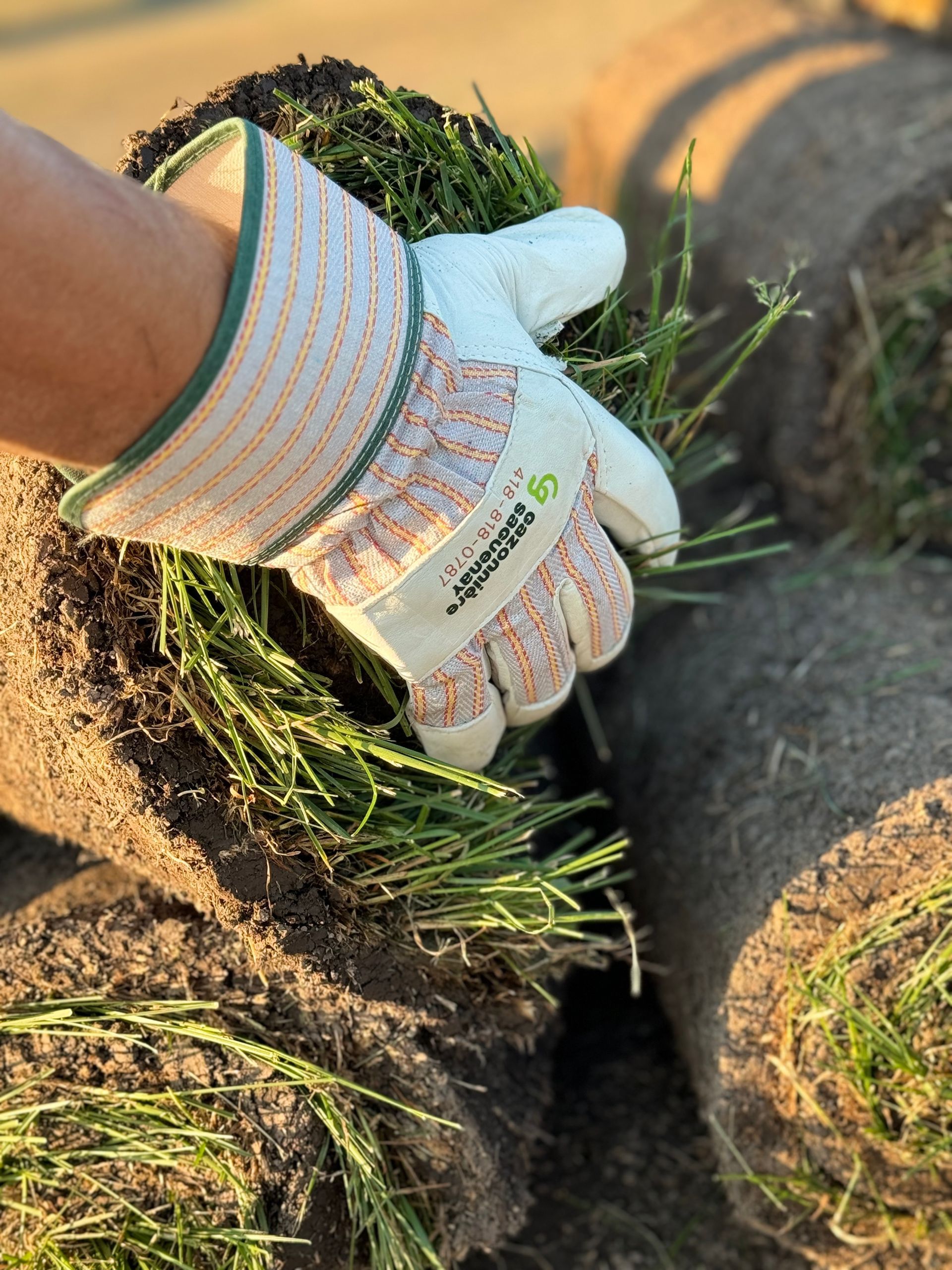 Une personne portant des gants tient un rouleau d'herbe.