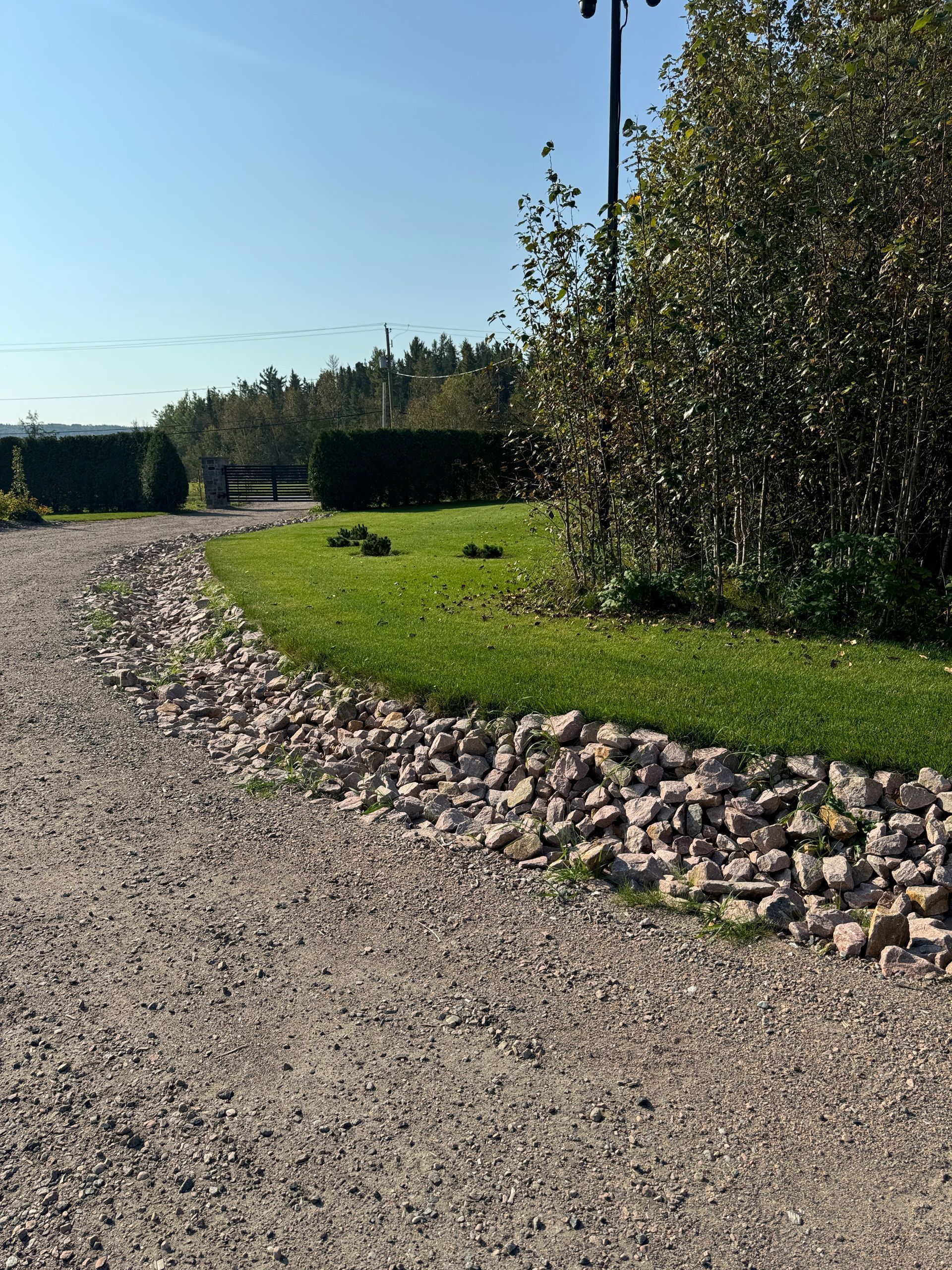 Une route de gravier traversant un champ verdoyant.
