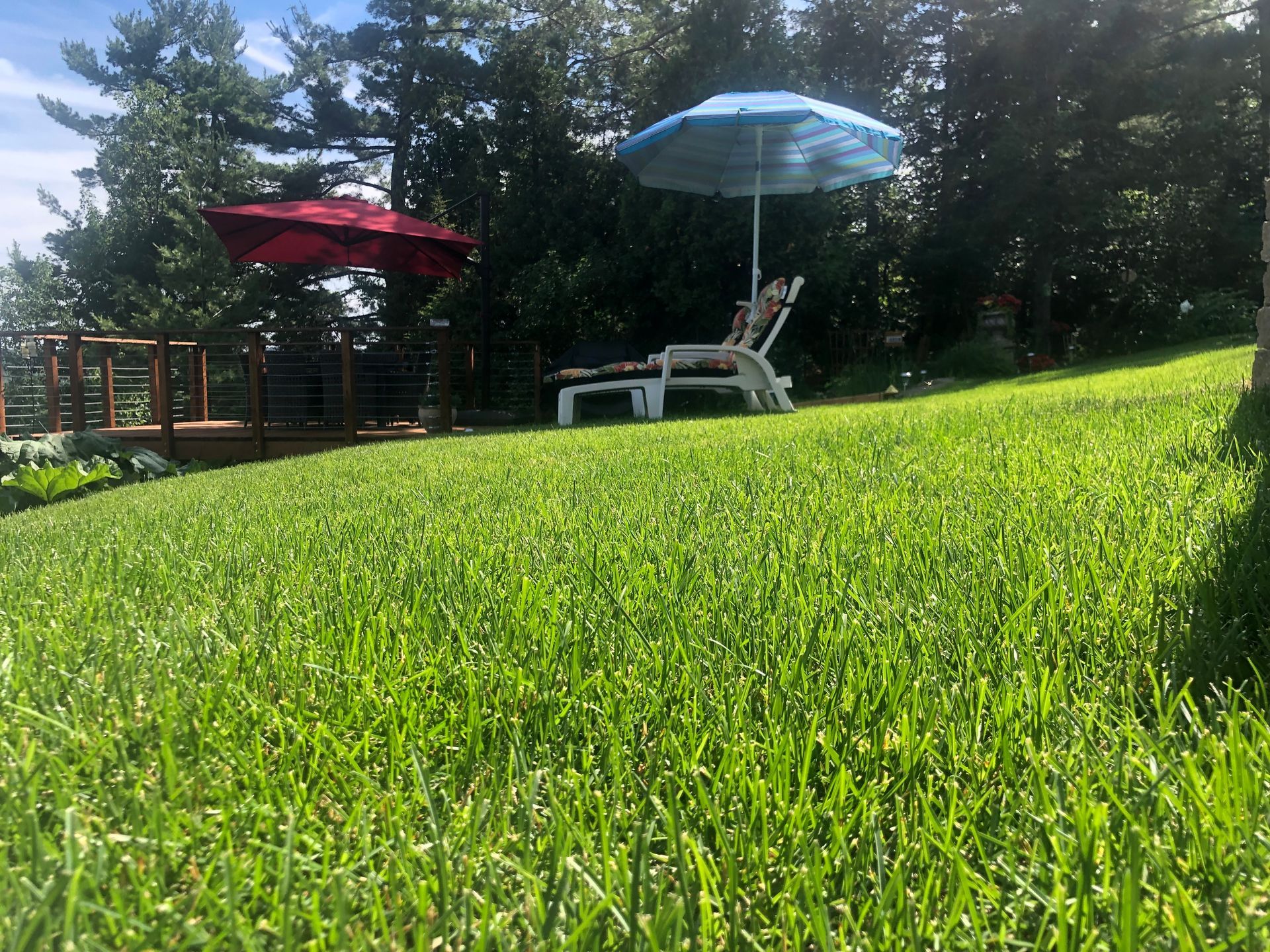 Une pelouse avec une chaise et un parasol dessus