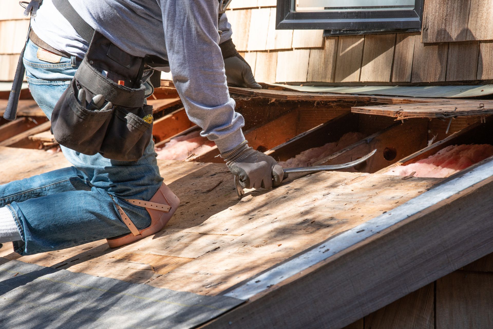 Roofer removing old roof with crowbar from a roof as part of a roof repair and replacement process.
