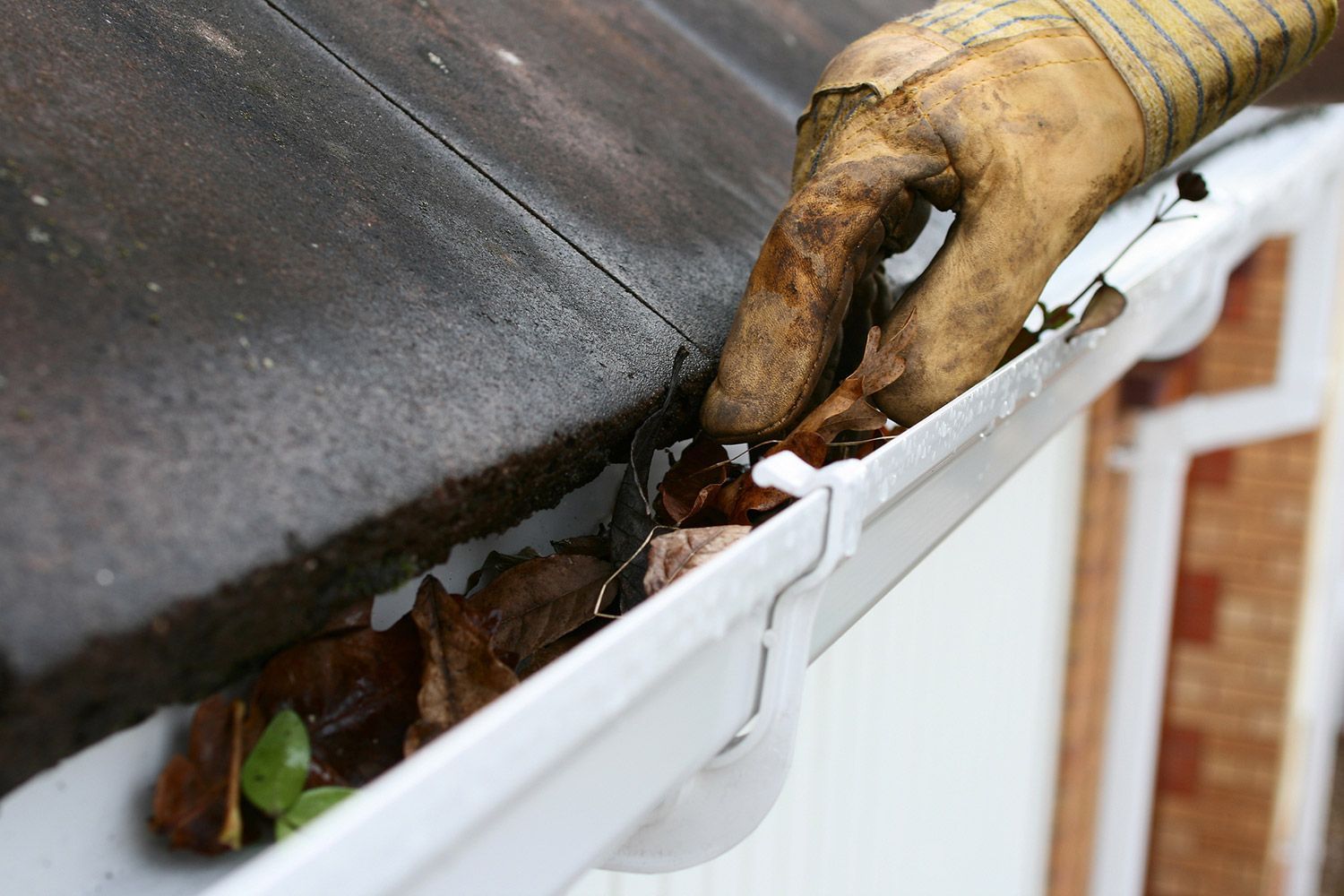 Removing the Debris on Gutter — Grand Junction, CO — Grand Junction Roofing Company Removing the Debris on Gutter — Grand Junction, CO — Grand Junction Roofing Company