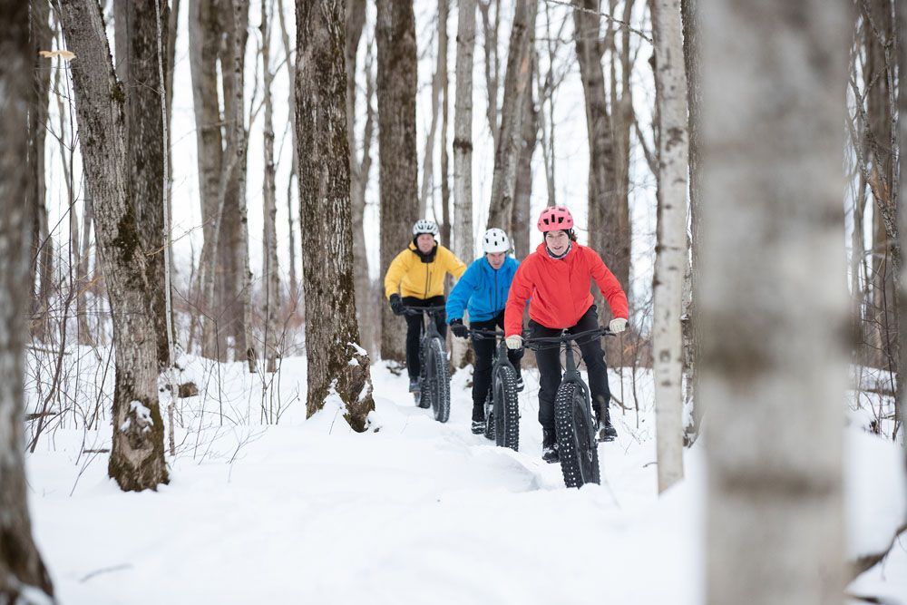 Three people riding fatbikes in the forest during winter.