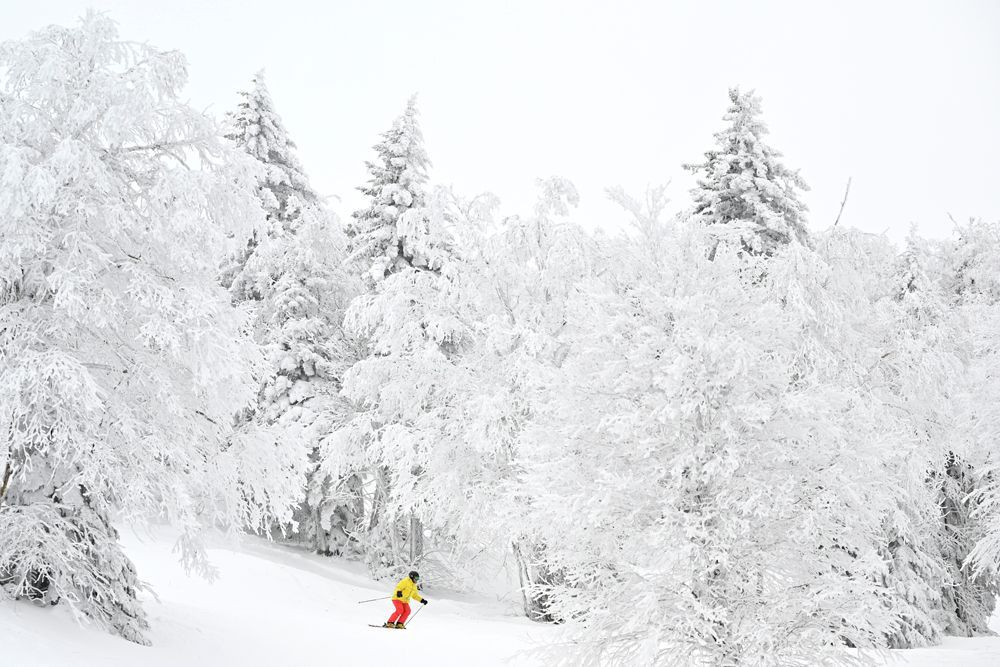 A person is skiing down a snow covered slope surrounded by snow covered trees.