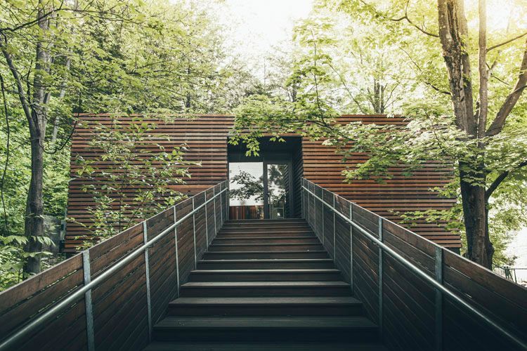 Wooden stairs leading to a wooden building in the woods.
