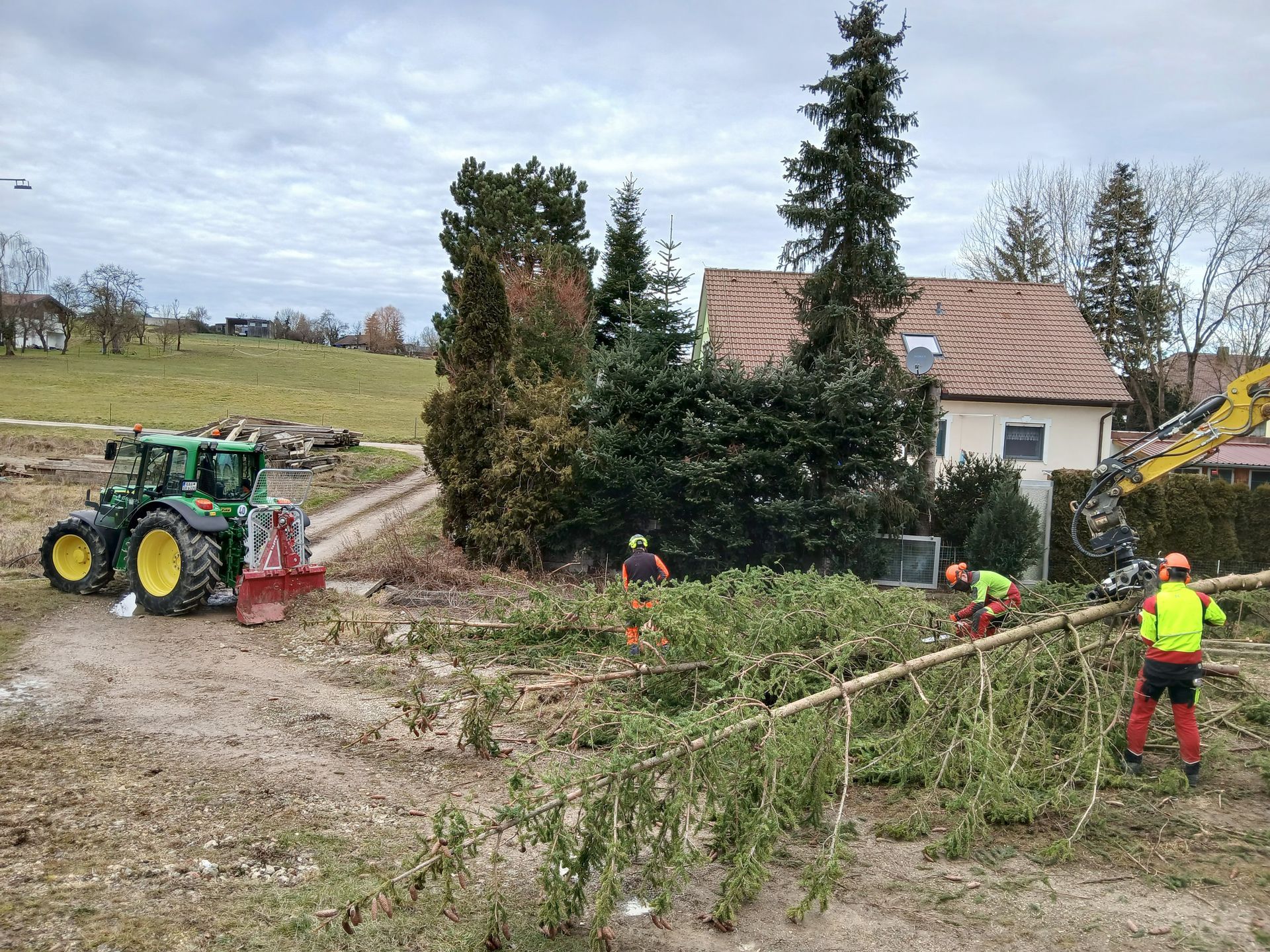 Baumfällung