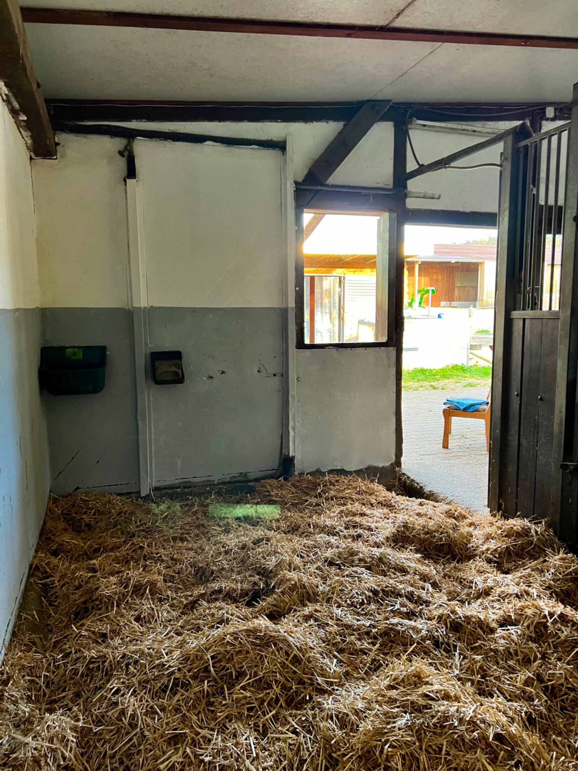 Pferdebox mit Fenster