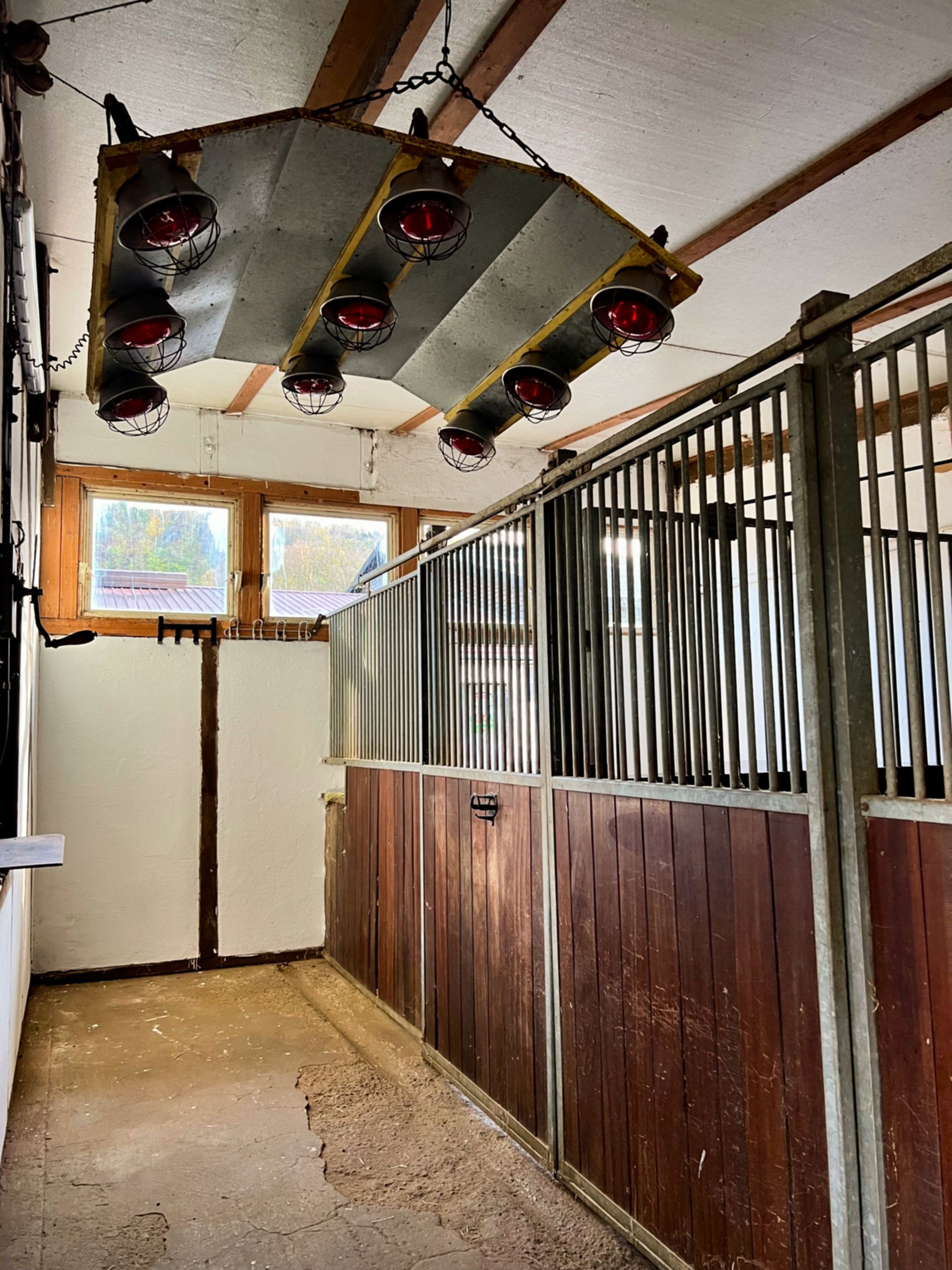 Pferdeboxen mit Solarium