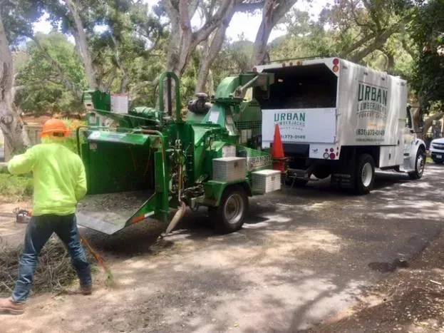 Man in safety vest feeds brush into a green wood chipper next to a truck.