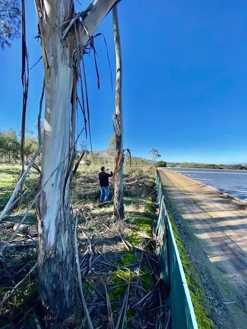 Man beside trees on a grassy bank next to a concrete wall and water on a sunny day.
