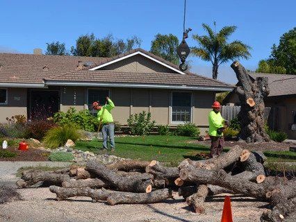 Two workers in safety vests cutting a tree in front of a house. Cut logs lie on the ground.