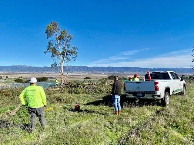 Workers removing brush near a white truck in a field, with mountains in the background under a blue sky.