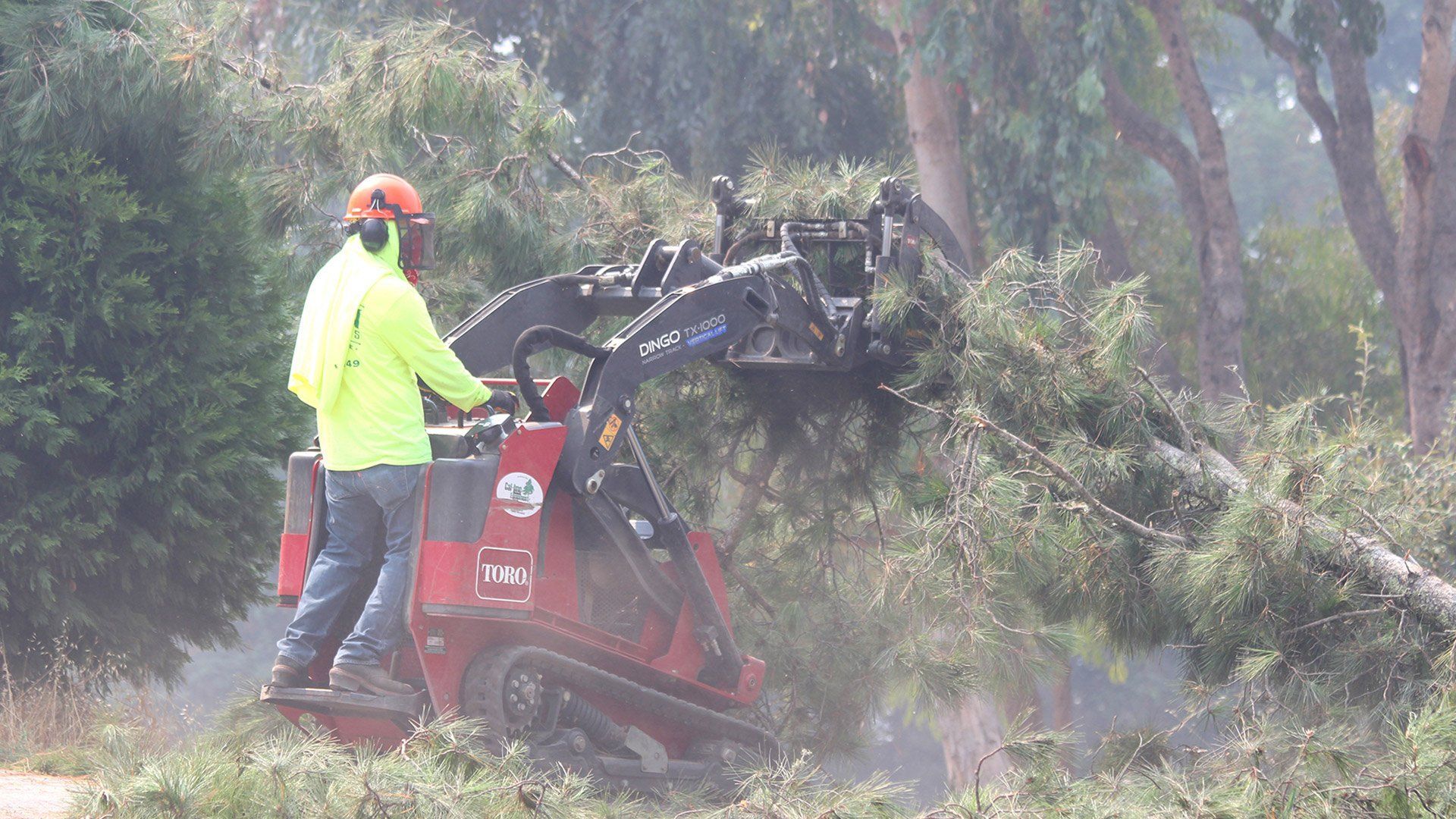 Man operating a small red skid steer with a tree shear, cutting branches. Outdoors, trees in the background.