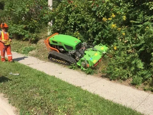 Green tracked mower on sidewalk, operator in orange vest nearby; cutting overgrown shrubs.