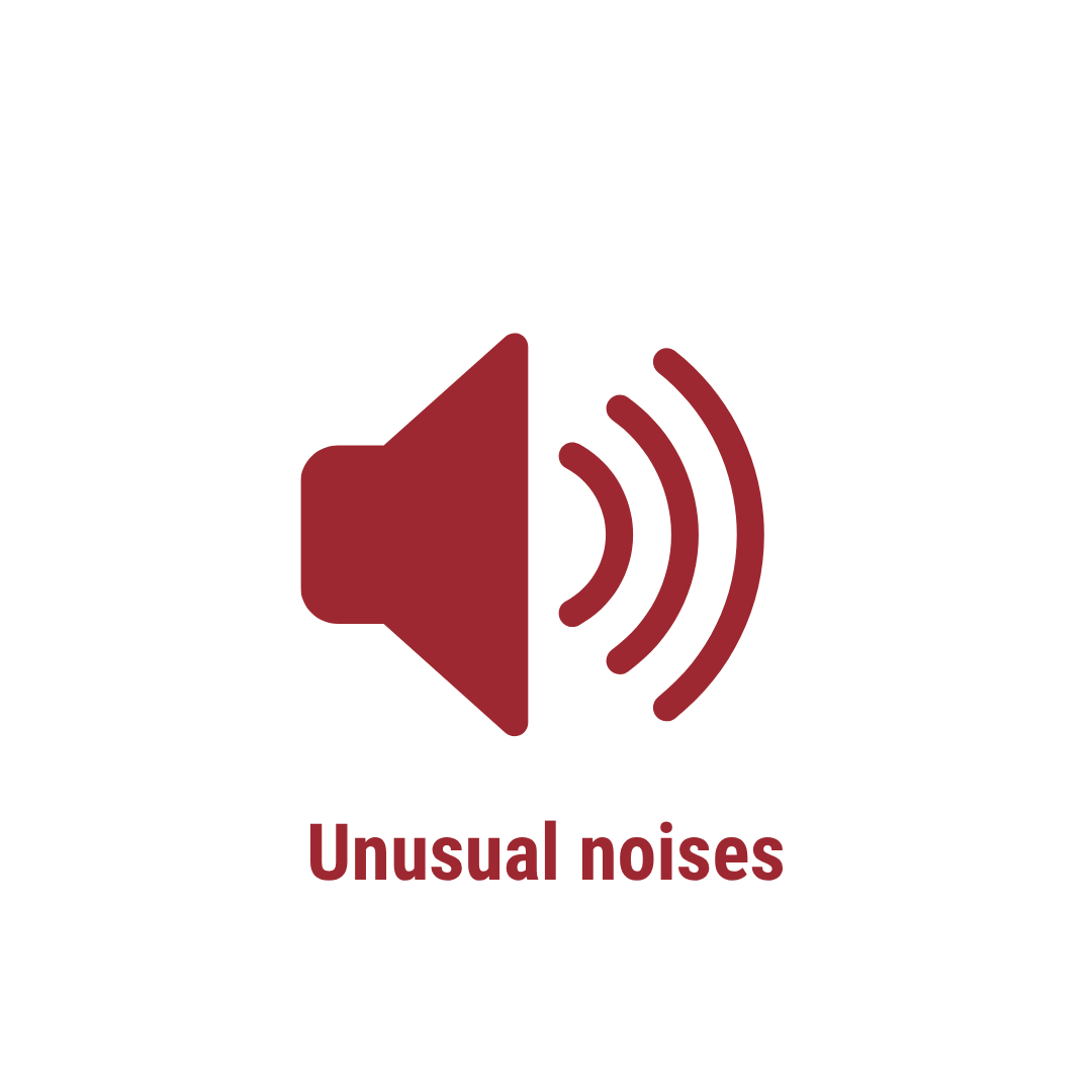 unusual noises