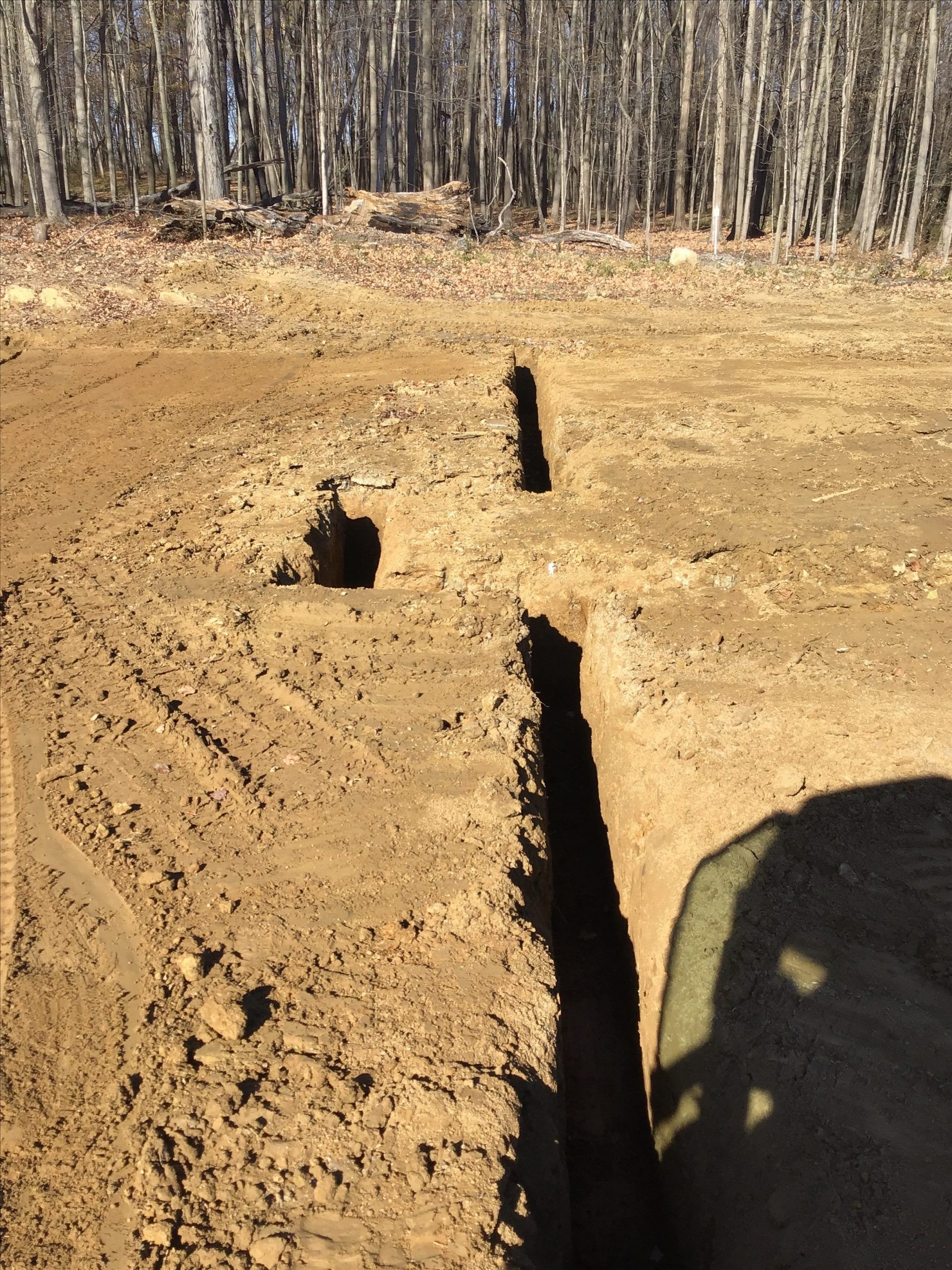 Trenches dug in brown dirt with forest background.