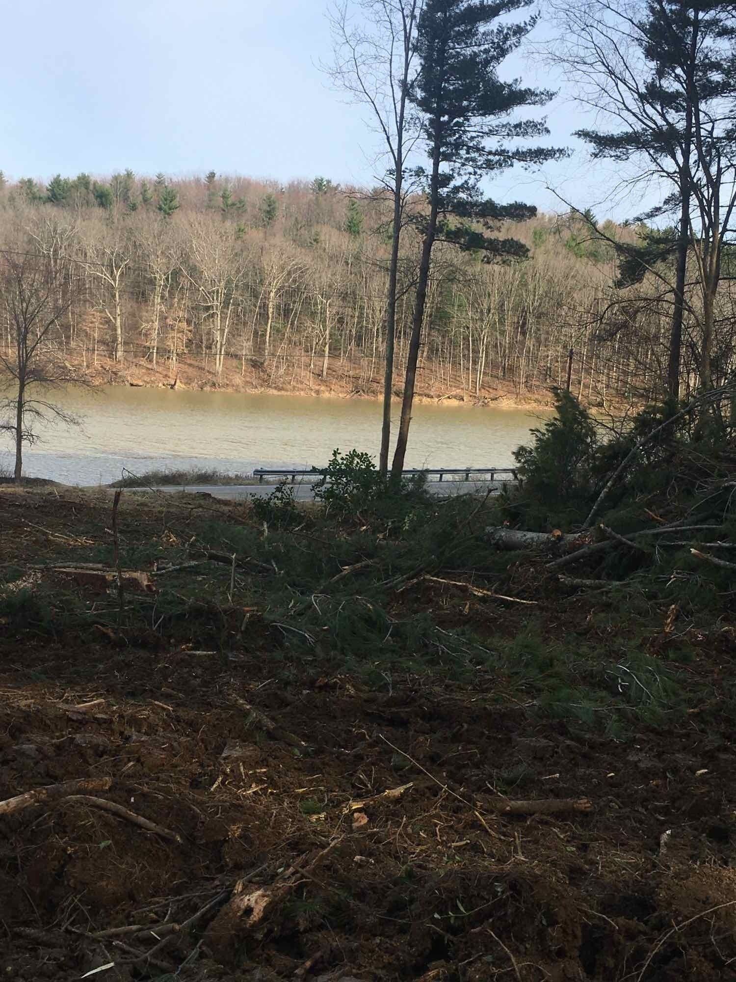 View of a lake and treeline. Foreground shows dirt and debris. Trees on the right side.
