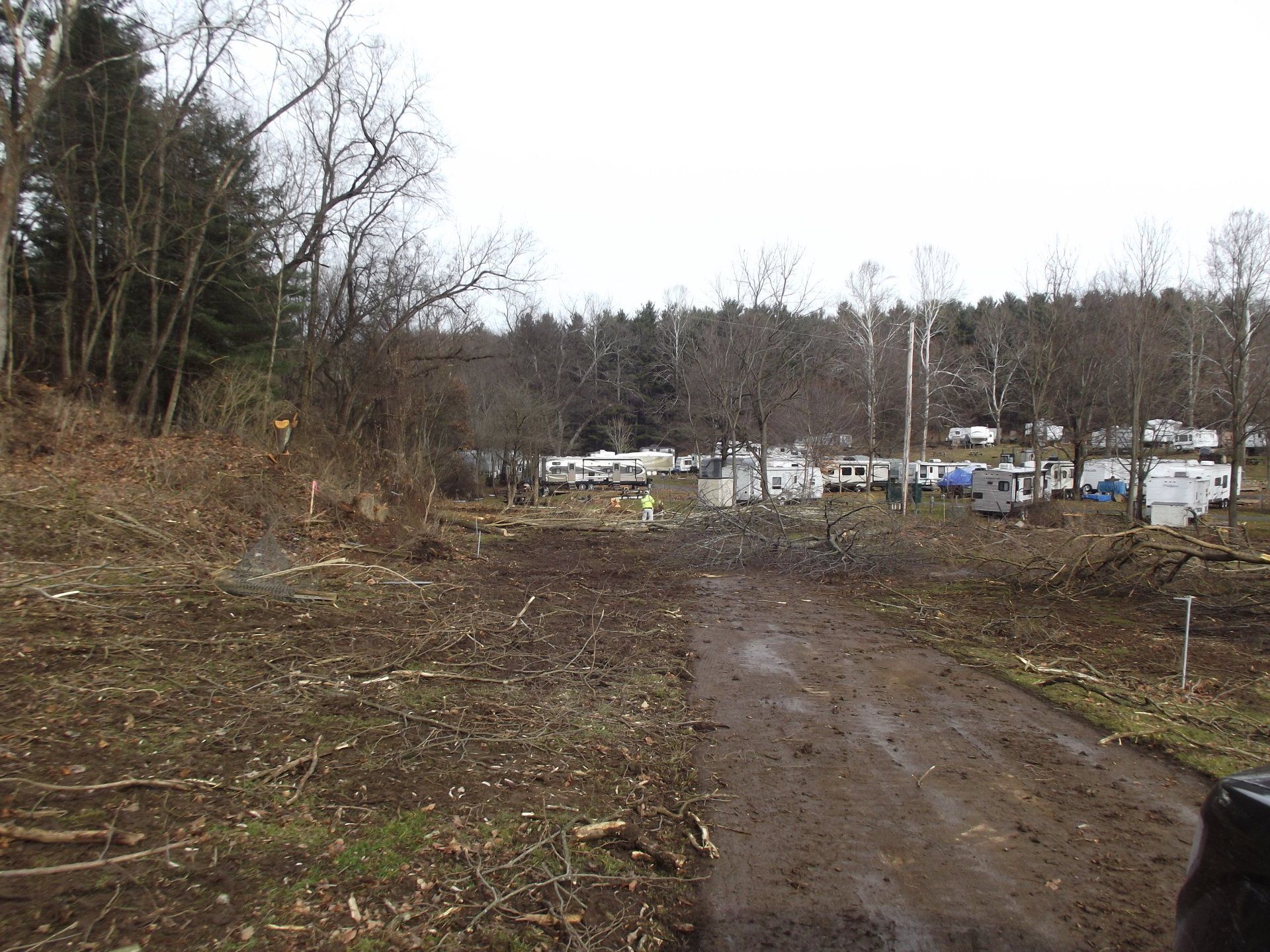 Dirt road leading to trailers and campers surrounded by trees. Overcast day.