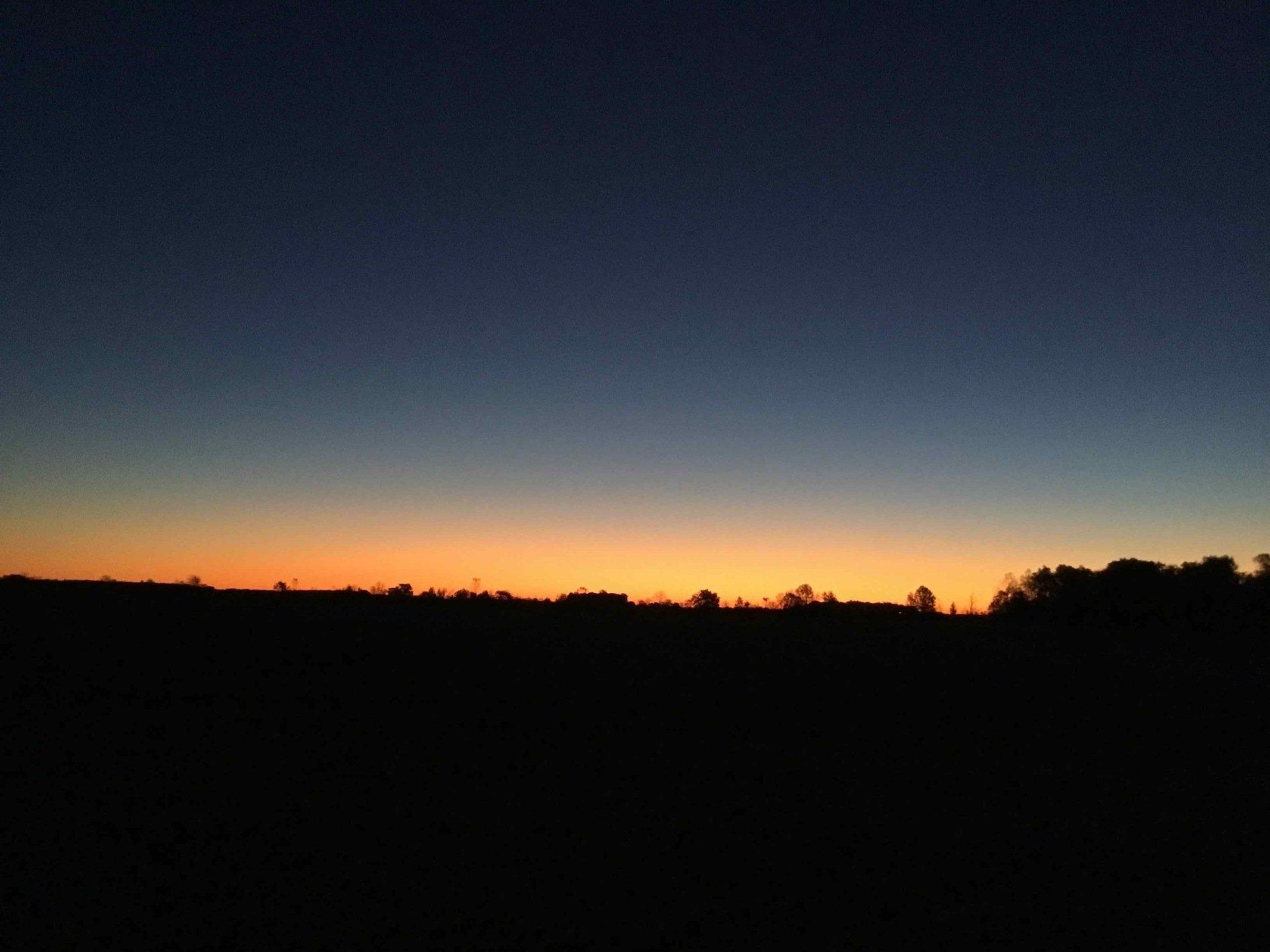 Dusk sky with orange and blue hues over a dark silhouette of a tree line.
