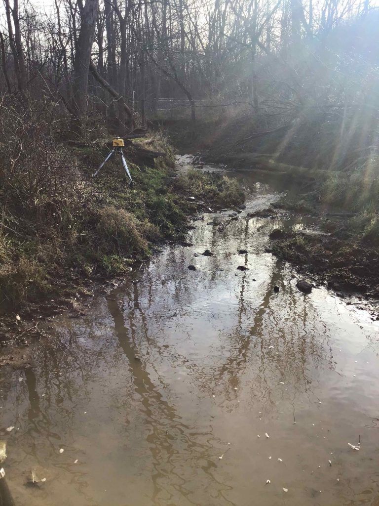 A muddy stream flows through a wooded area. Trees line the banks, sunlight streams through the branches.