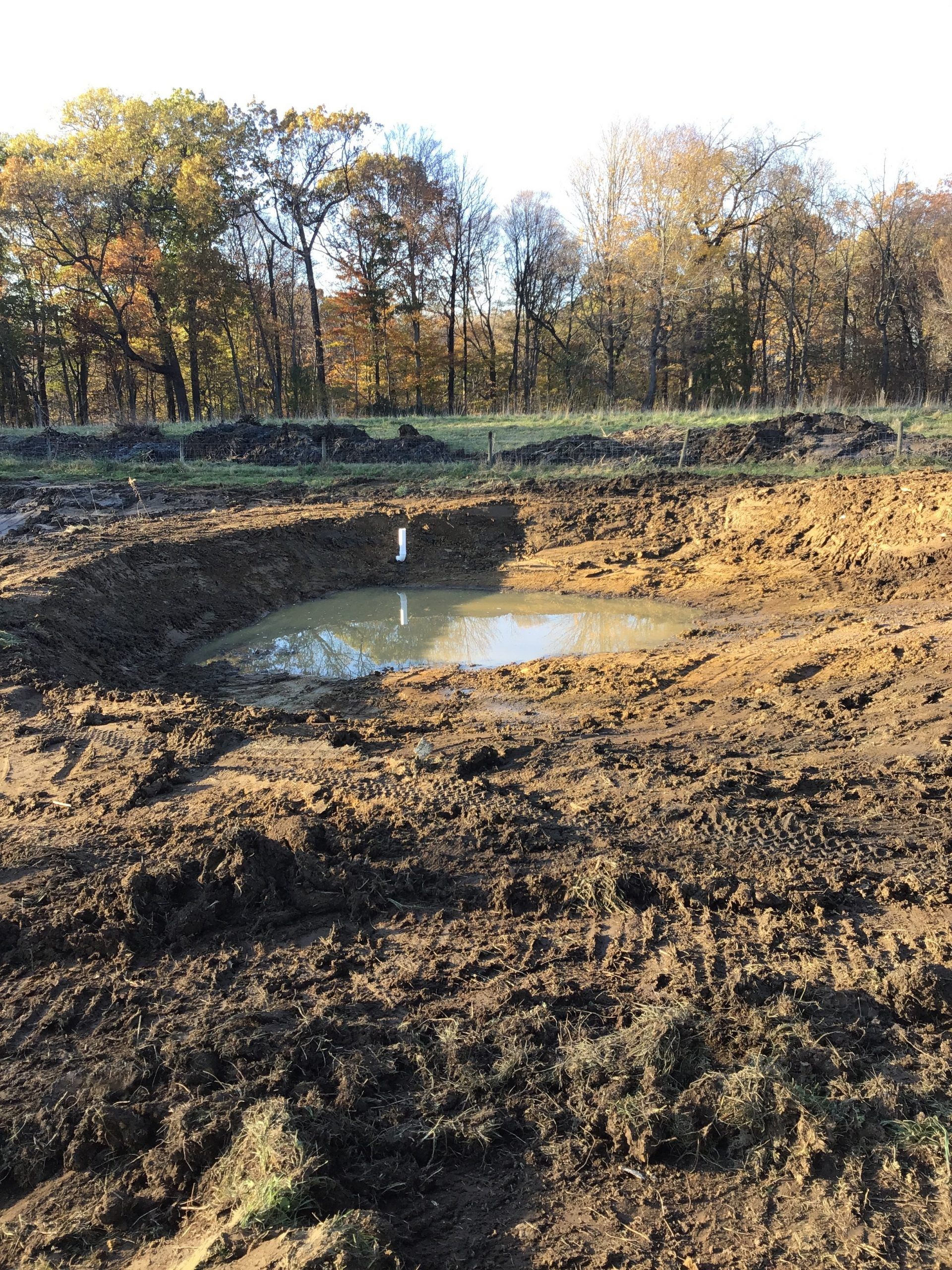 Muddy pond in a dug-out hole with trees in the background. Reflective water surface. Overcast sky.