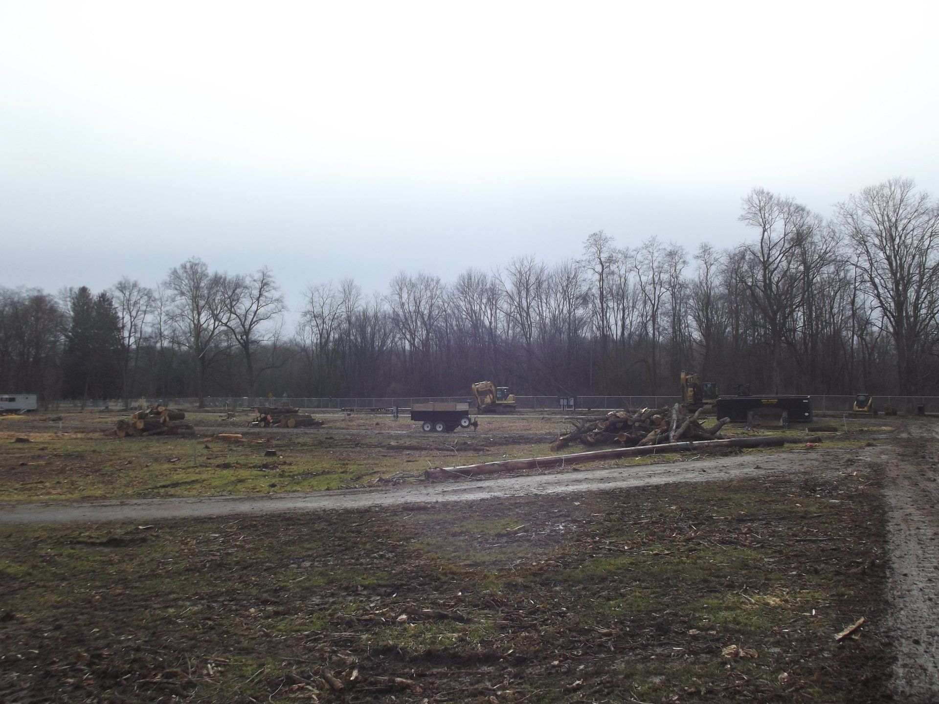 Field with cut trees, machinery, and bare trees in the background under a cloudy sky.