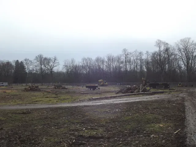 A cleared field with scattered logs and construction equipment, trees in background under an overcast sky.