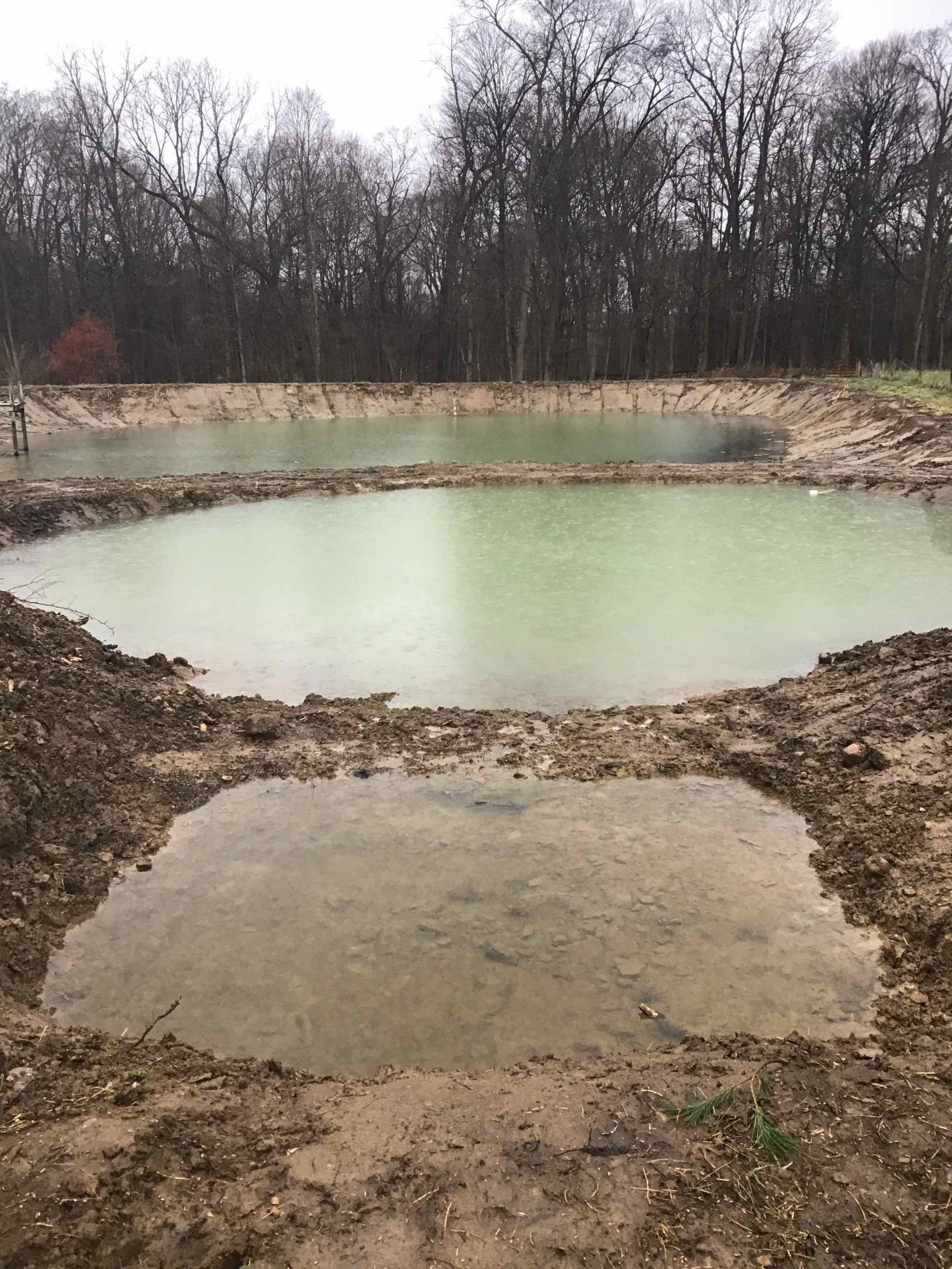 Newly dug pond with muddy banks and light green water. Trees in the background.