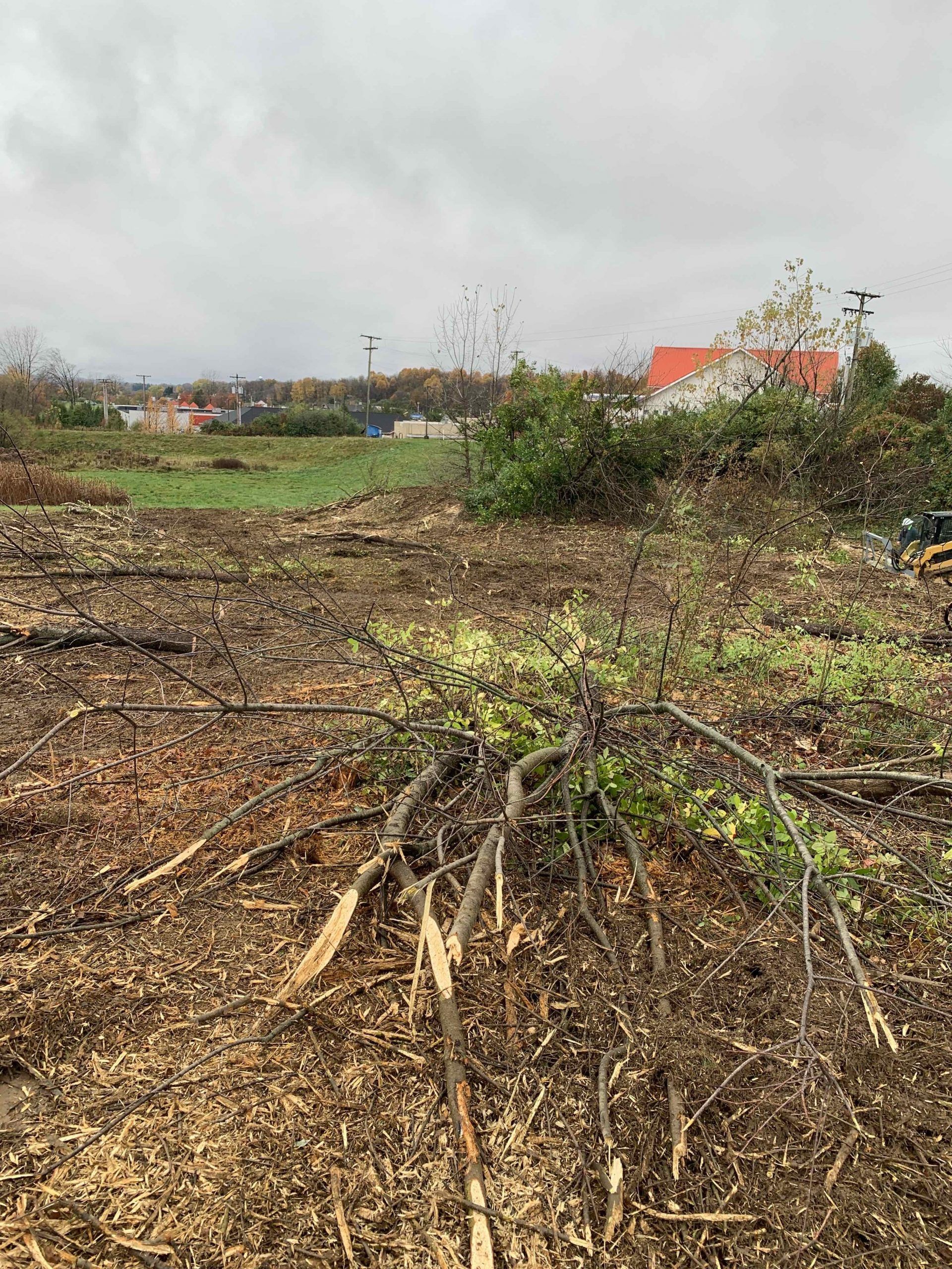 Cleared land with debris and sparse vegetation under an overcast sky, with buildings in the distance.