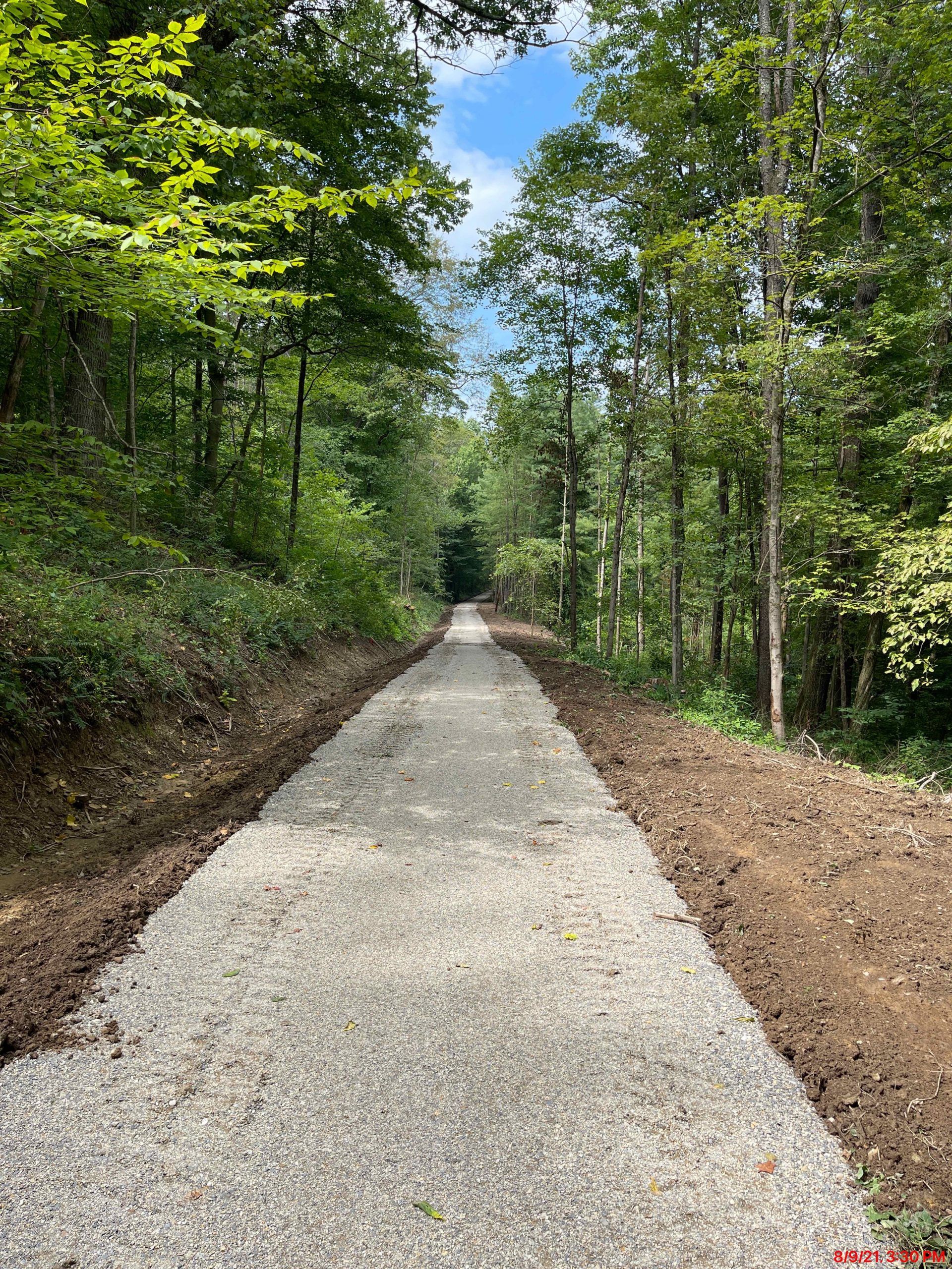 A gravel path through a forest, trees line the sides, bright blue sky peeks through.