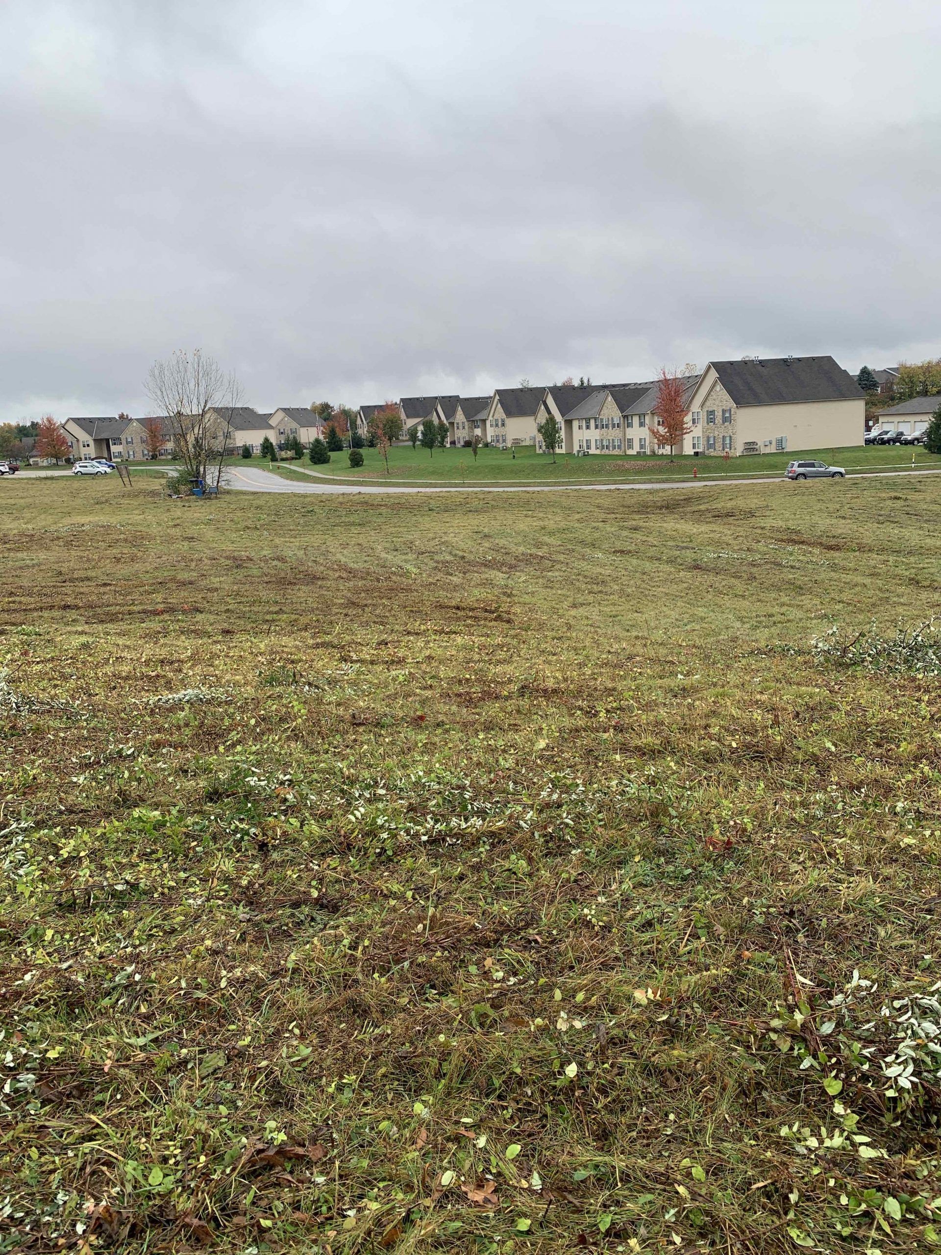 Open field with brown vegetation, houses in the background under an overcast sky.