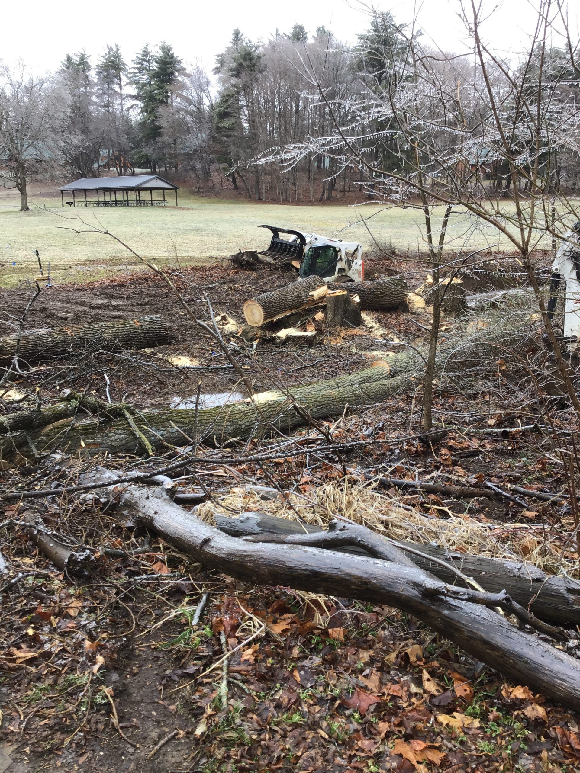 Logs and tree limbs in a muddy clearing, chainsaw present, with a picnic shelter and trees in the background.