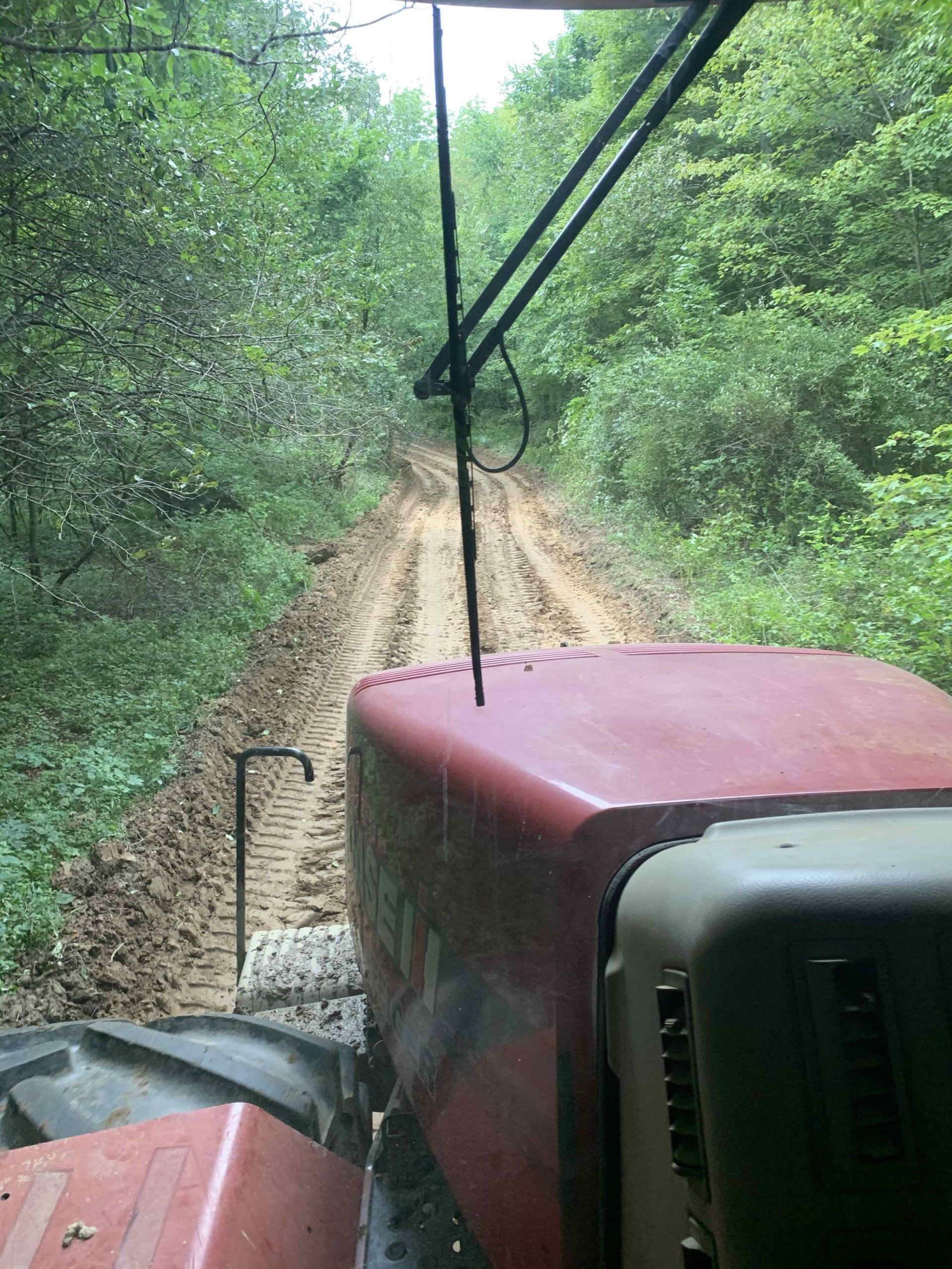 Tractor driving on a muddy forest road, red hood visible, trees on both sides.
