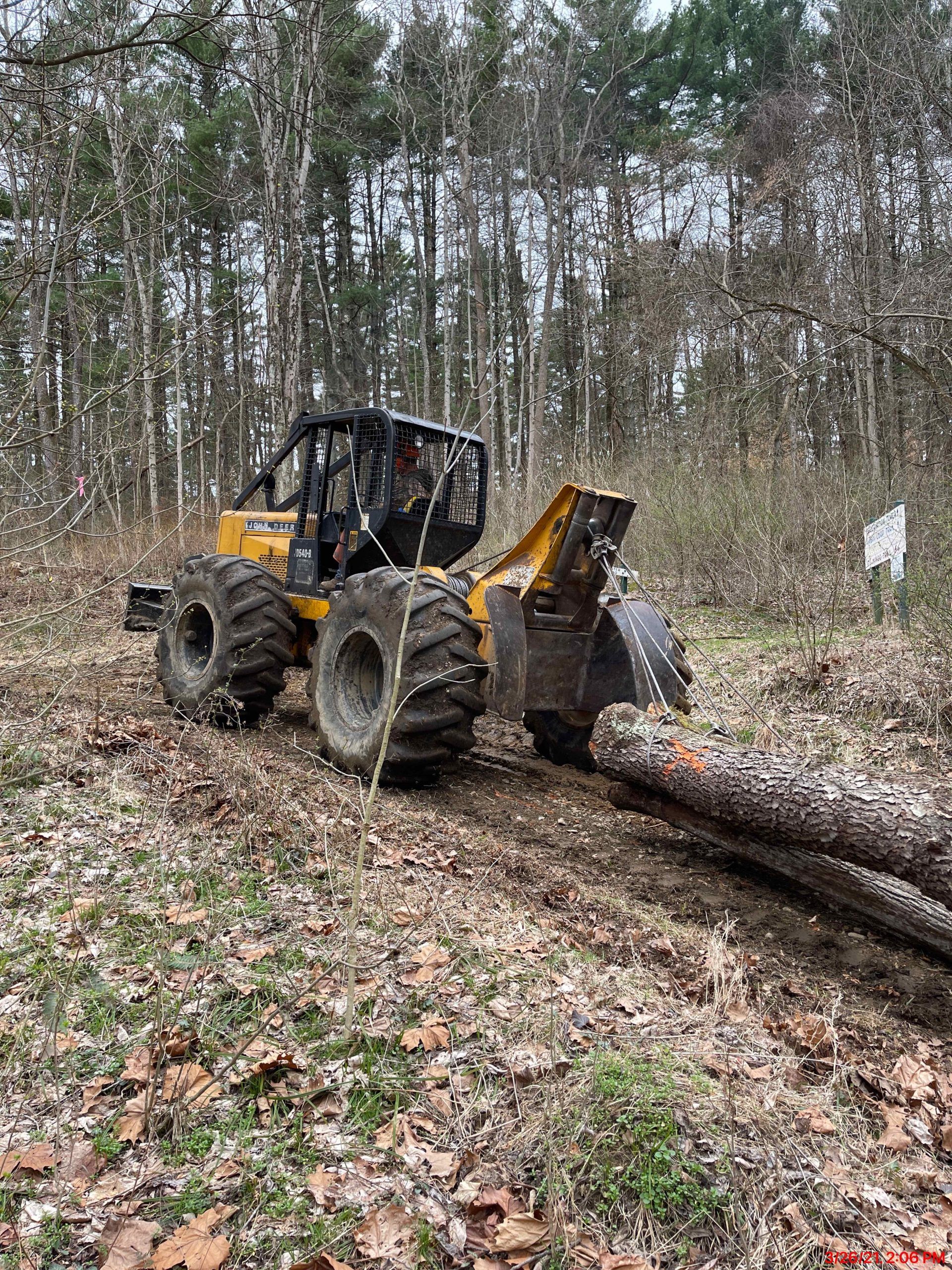 Yellow forestry machine hauling logs in a wooded area.